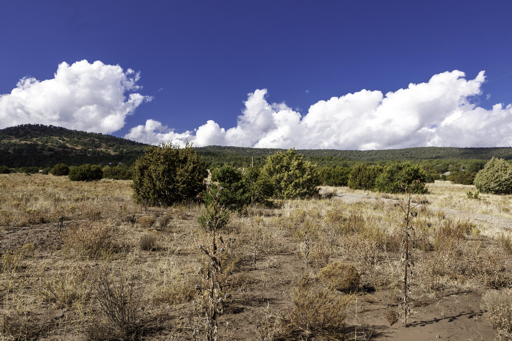 171 Brannan Road, Tijeras, New Mexico image 24