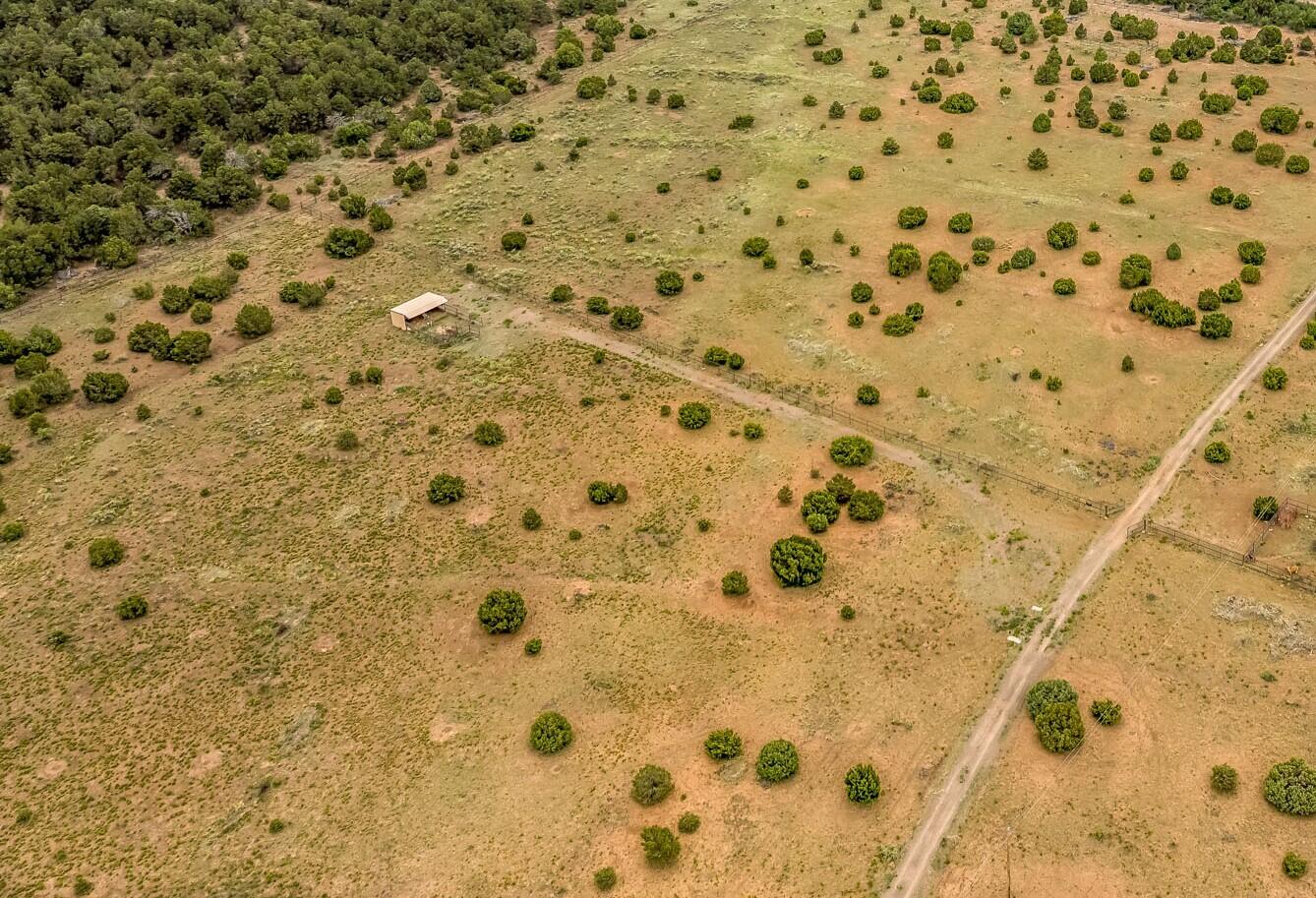 171 Brannan Road, Tijeras, New Mexico image 3