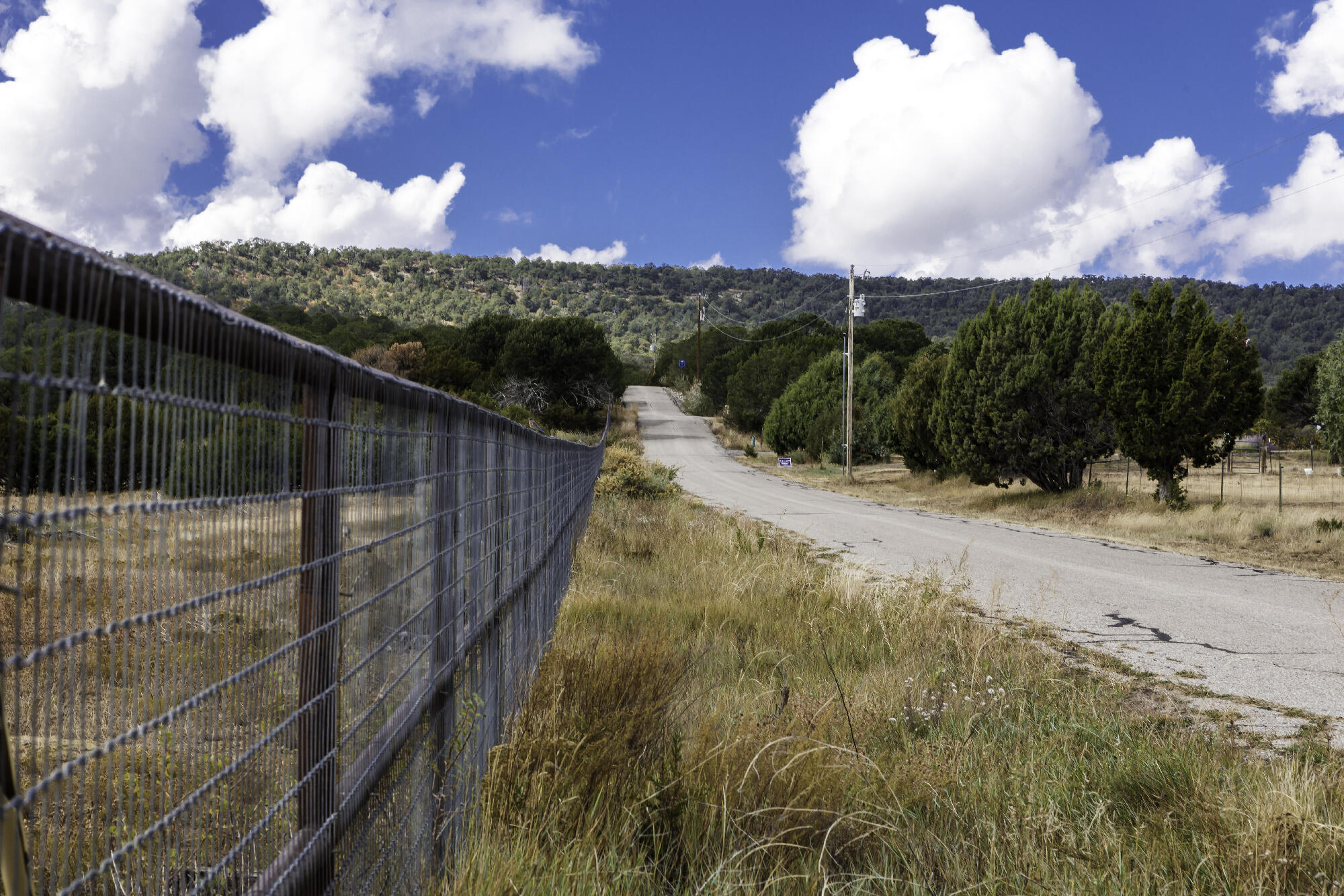 171 Brannan Road, Tijeras, New Mexico image 26