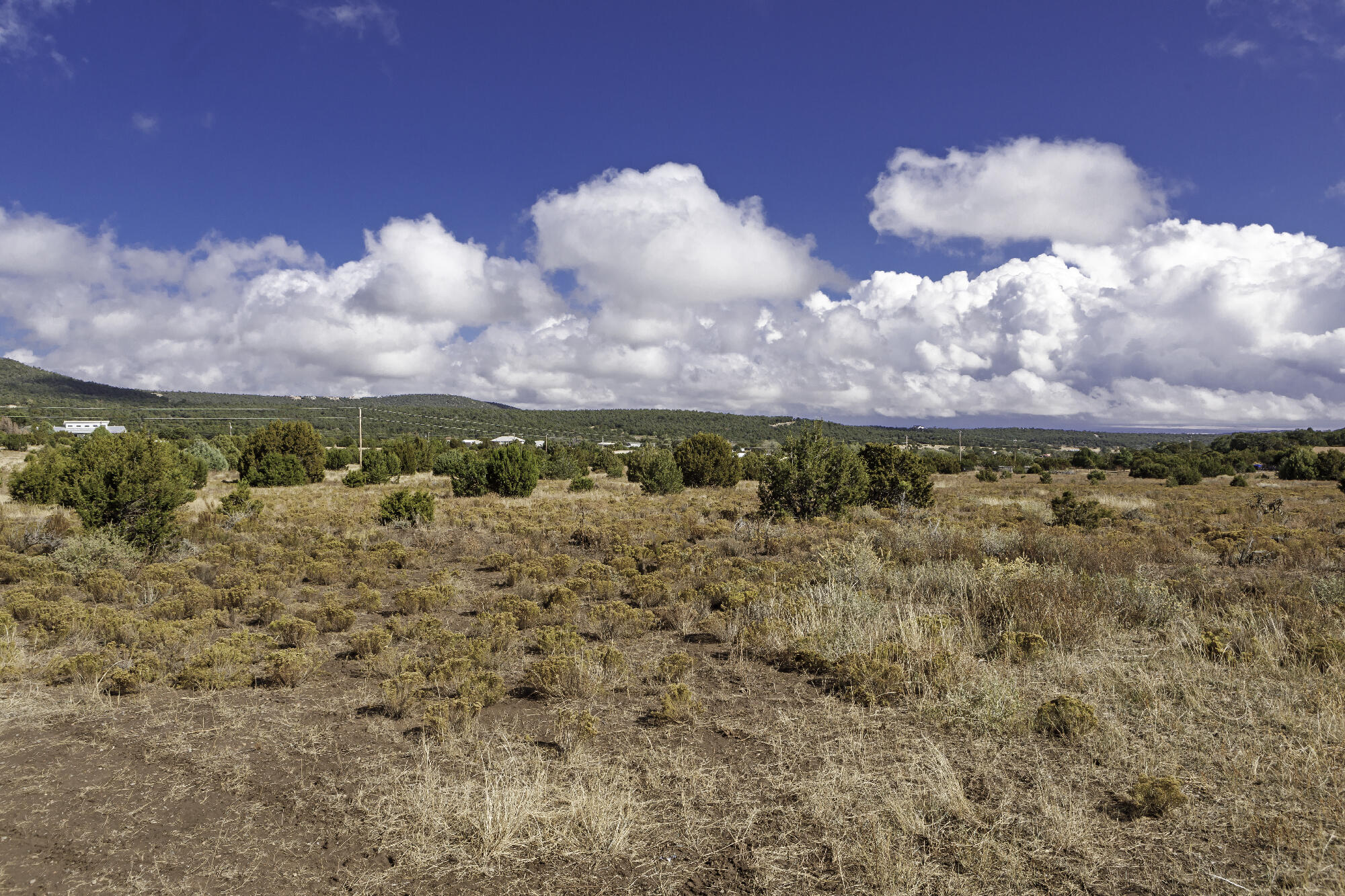 171 Brannan Road, Tijeras, New Mexico image 17