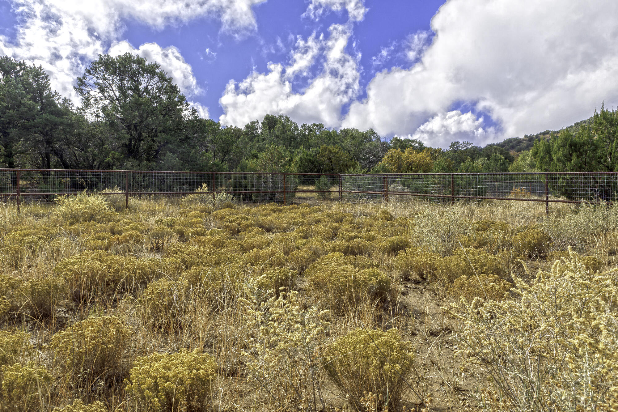 171 Brannan Road, Tijeras, New Mexico image 13