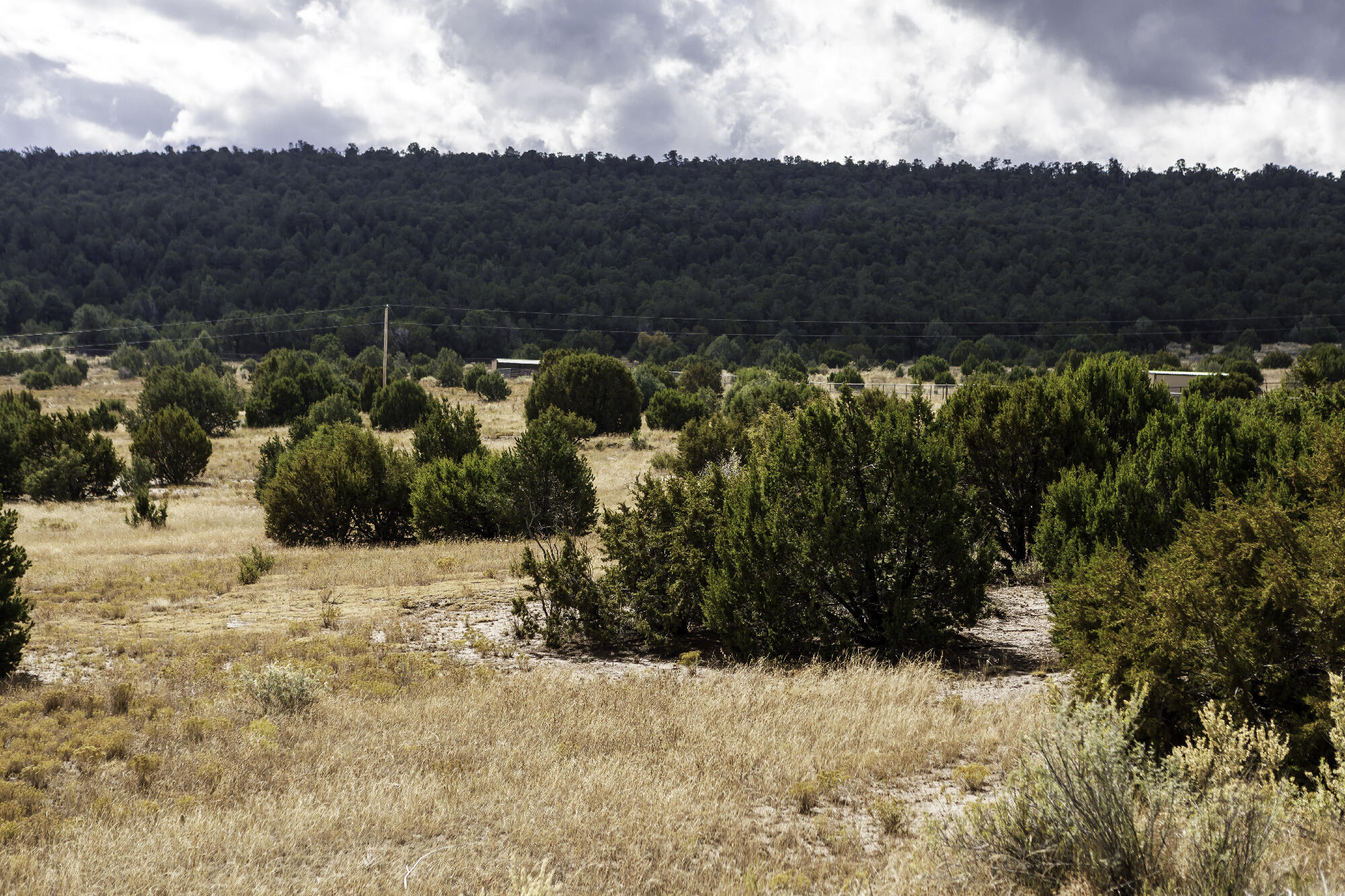 171 Brannan Road, Tijeras, New Mexico image 31