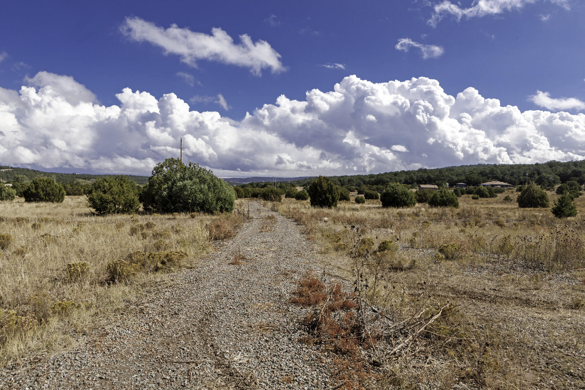 171 Brannan Road, Tijeras, New Mexico image 20