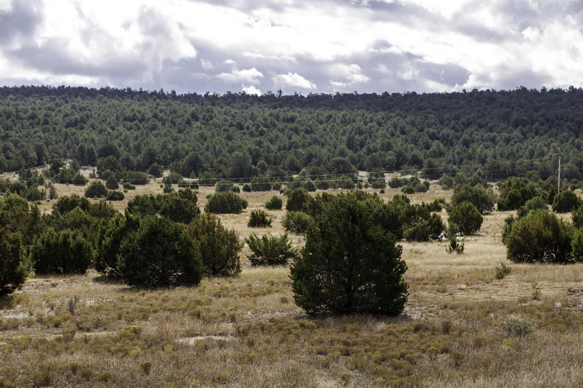 171 Brannan Road, Tijeras, New Mexico image 30