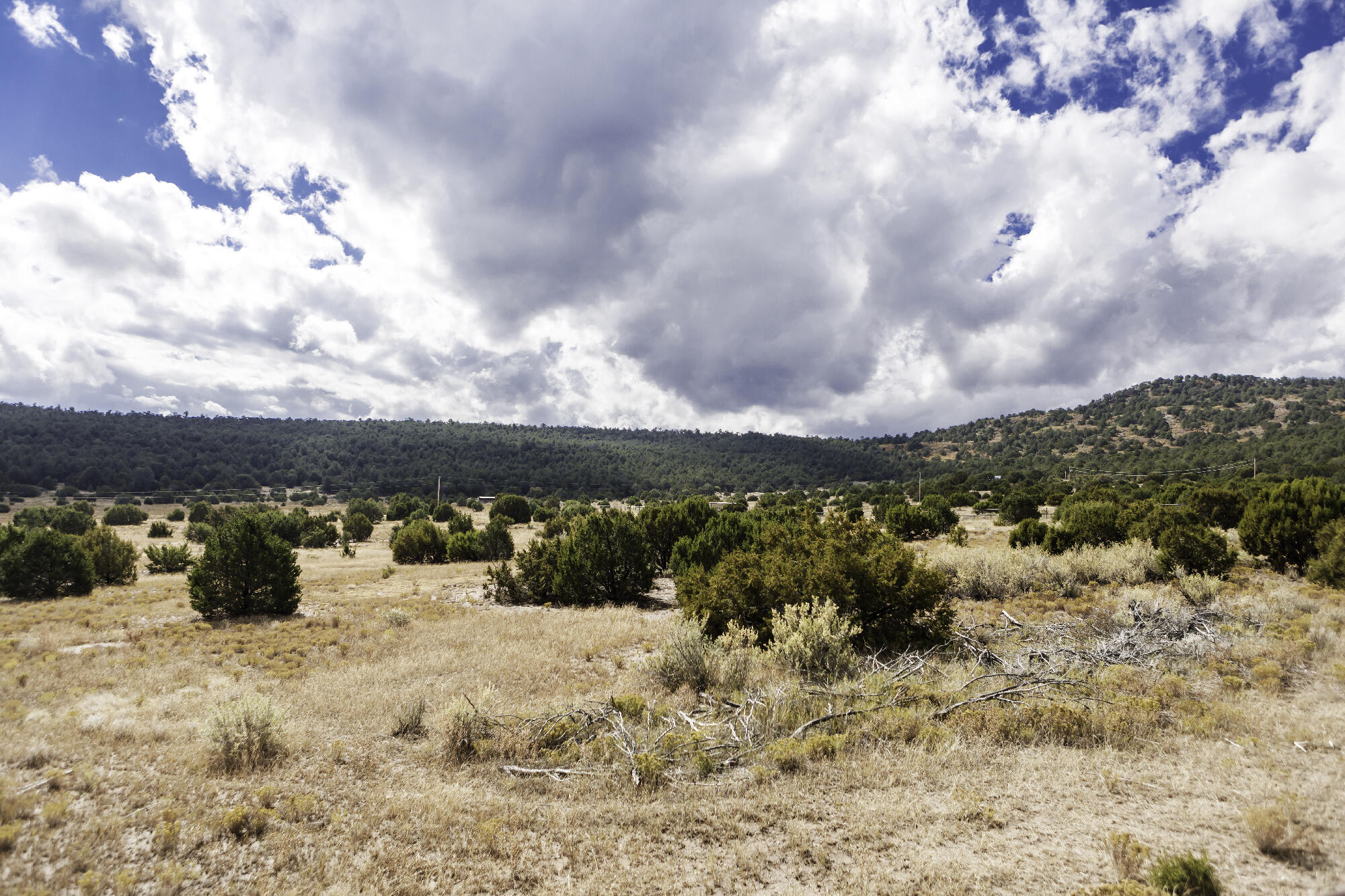 171 Brannan Road, Tijeras, New Mexico image 27