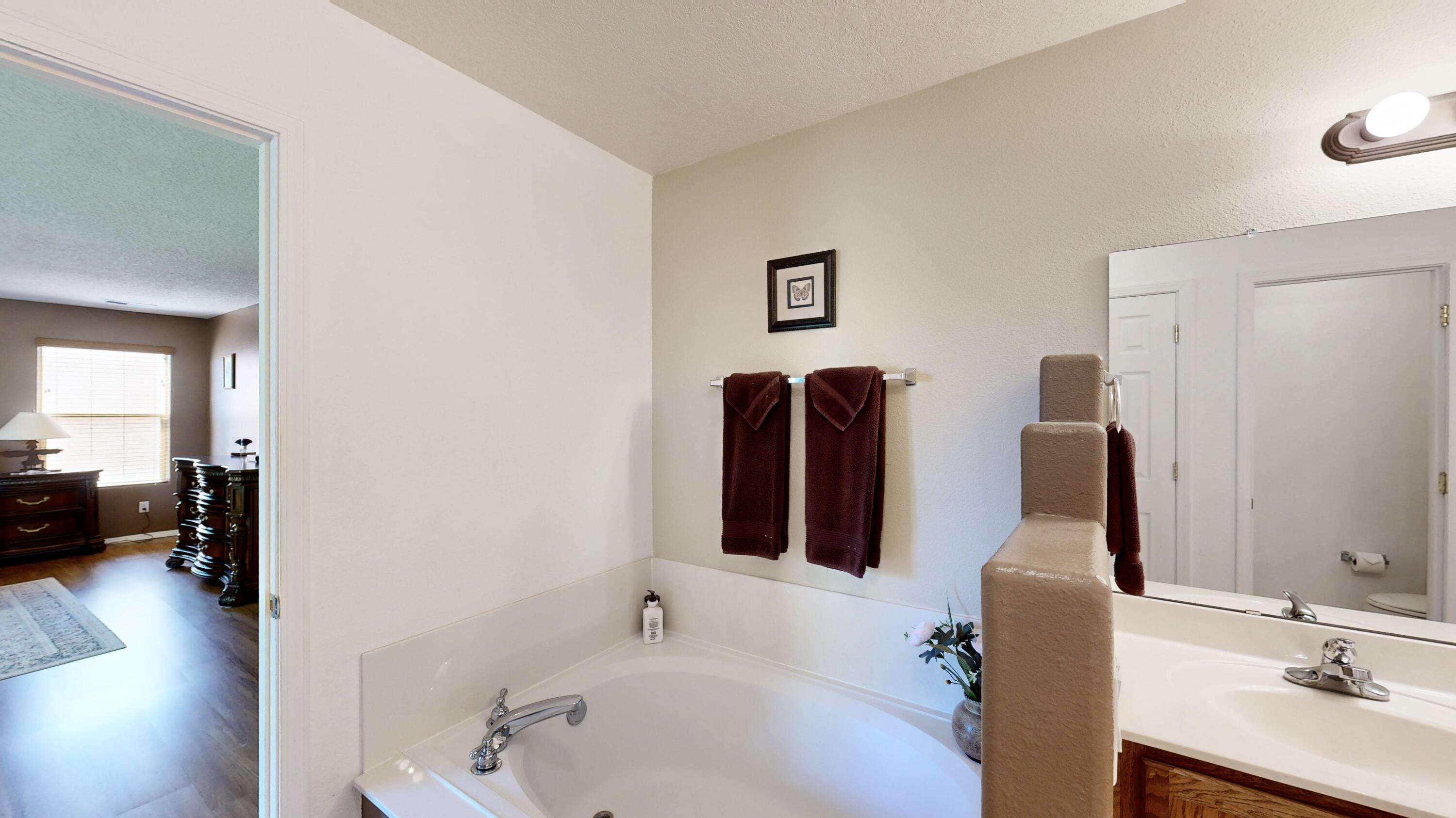 3032 Cochiti Street, Rio Rancho, New Mexico image 40