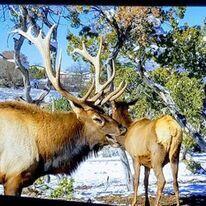 87 N Frontage Road, Edgewood, New Mexico image 15