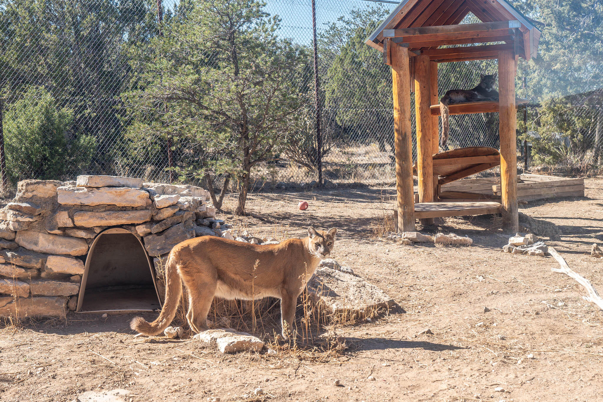 87 N Frontage Road, Edgewood, New Mexico image 7