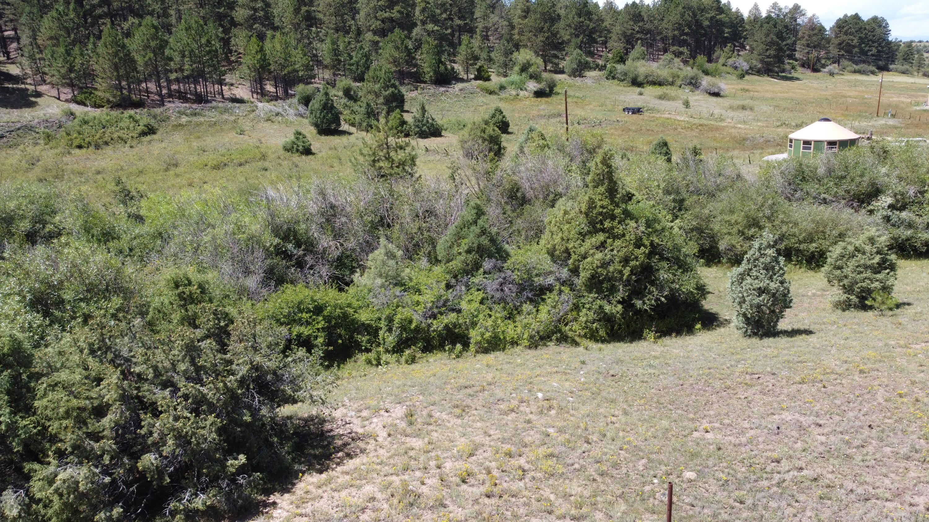 TRACT 2 Forest Rd. 639, Truchas, New Mexico image 3