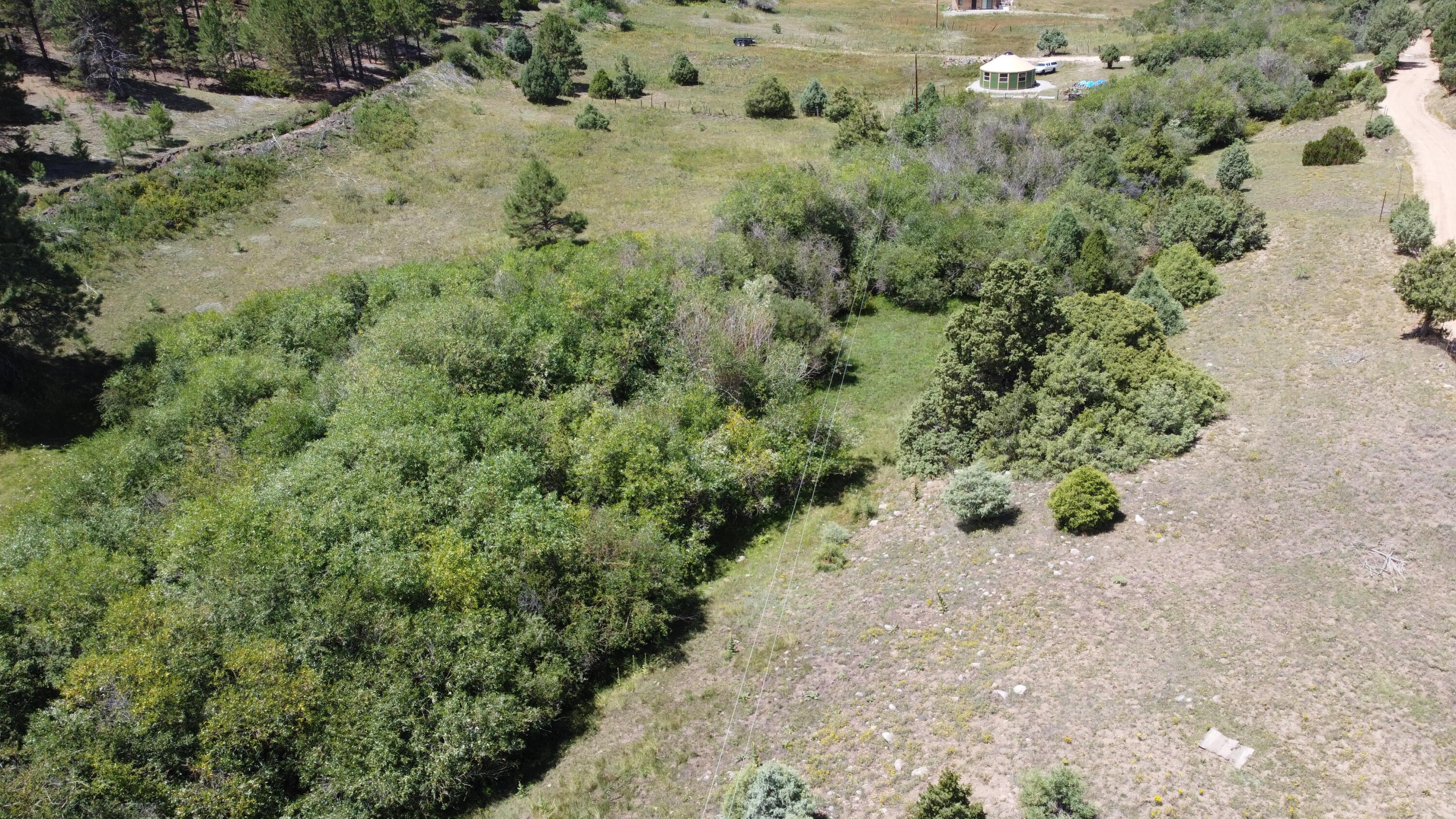 TRACT 2 Forest Rd. 639, Truchas, New Mexico image 2