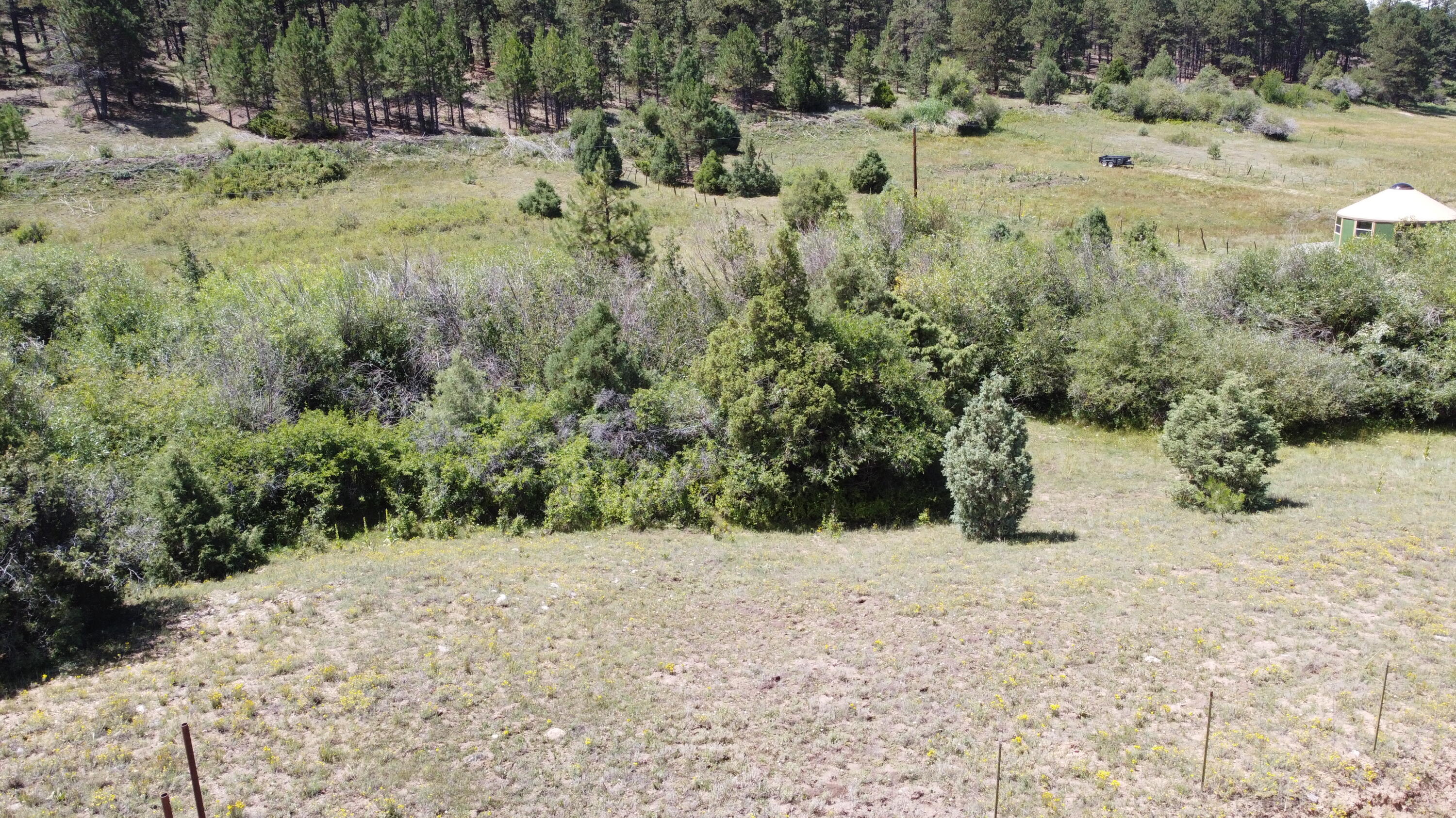 TRACT 2 Forest Rd. 639, Truchas, New Mexico image 4