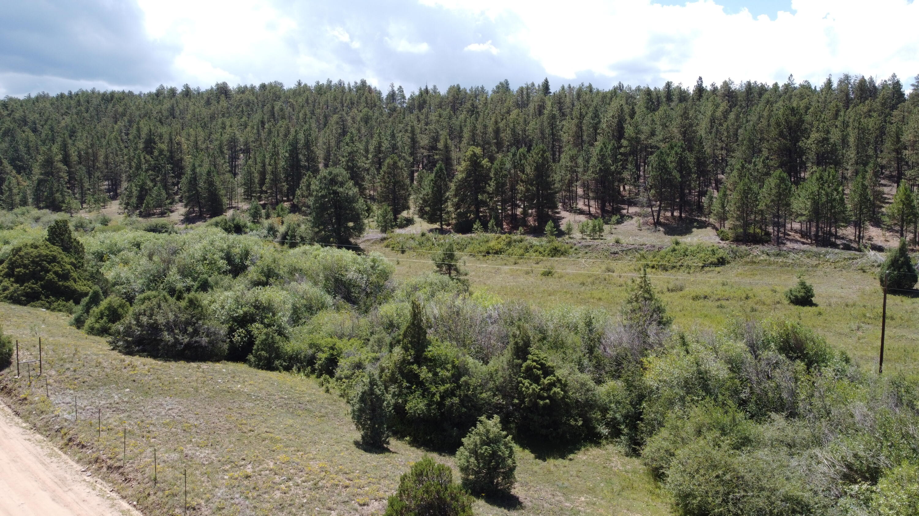 TRACT 2 Forest Rd. 639, Truchas, New Mexico image 7