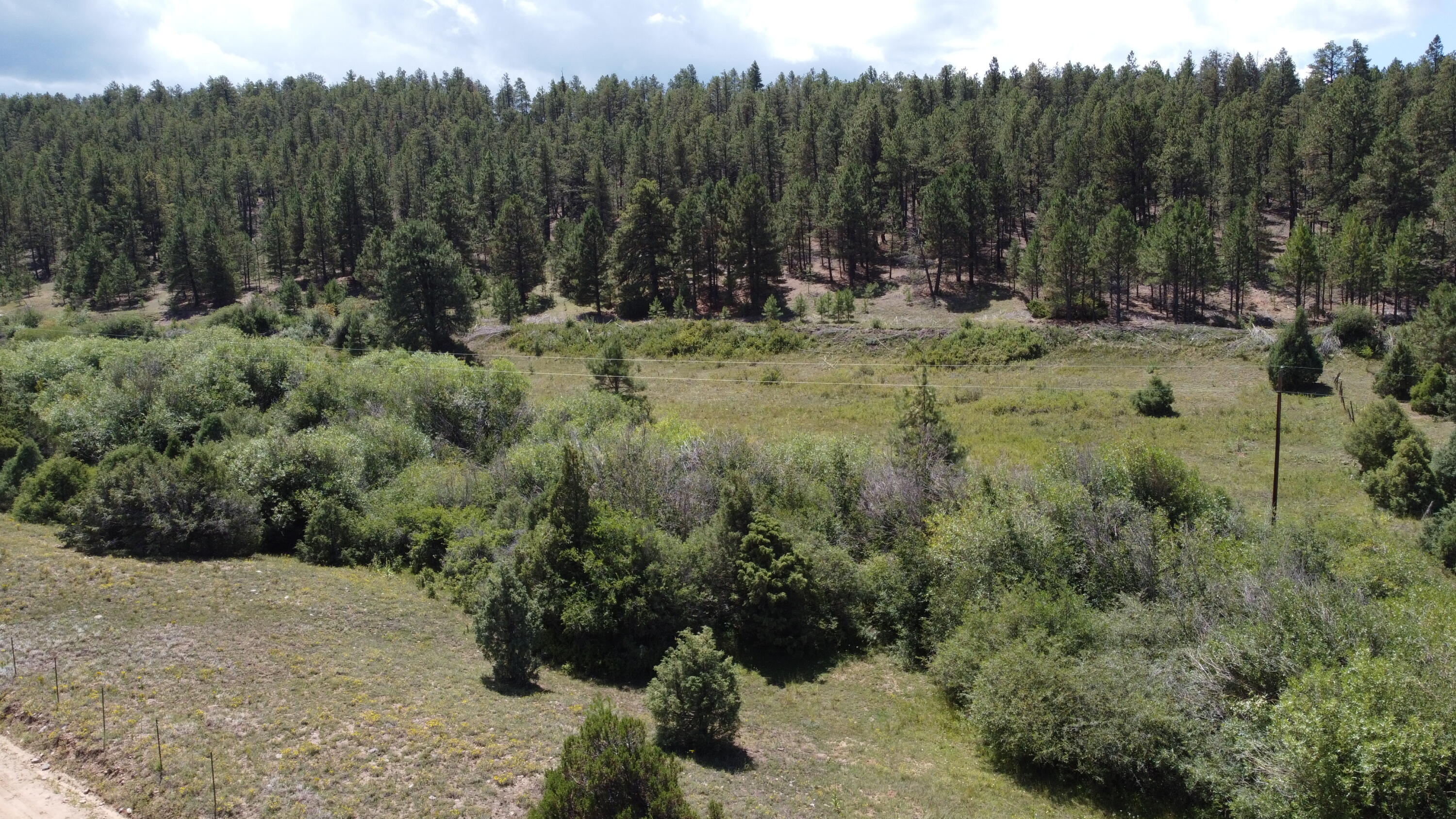 TRACT 2 Forest Rd. 639, Truchas, New Mexico image 6