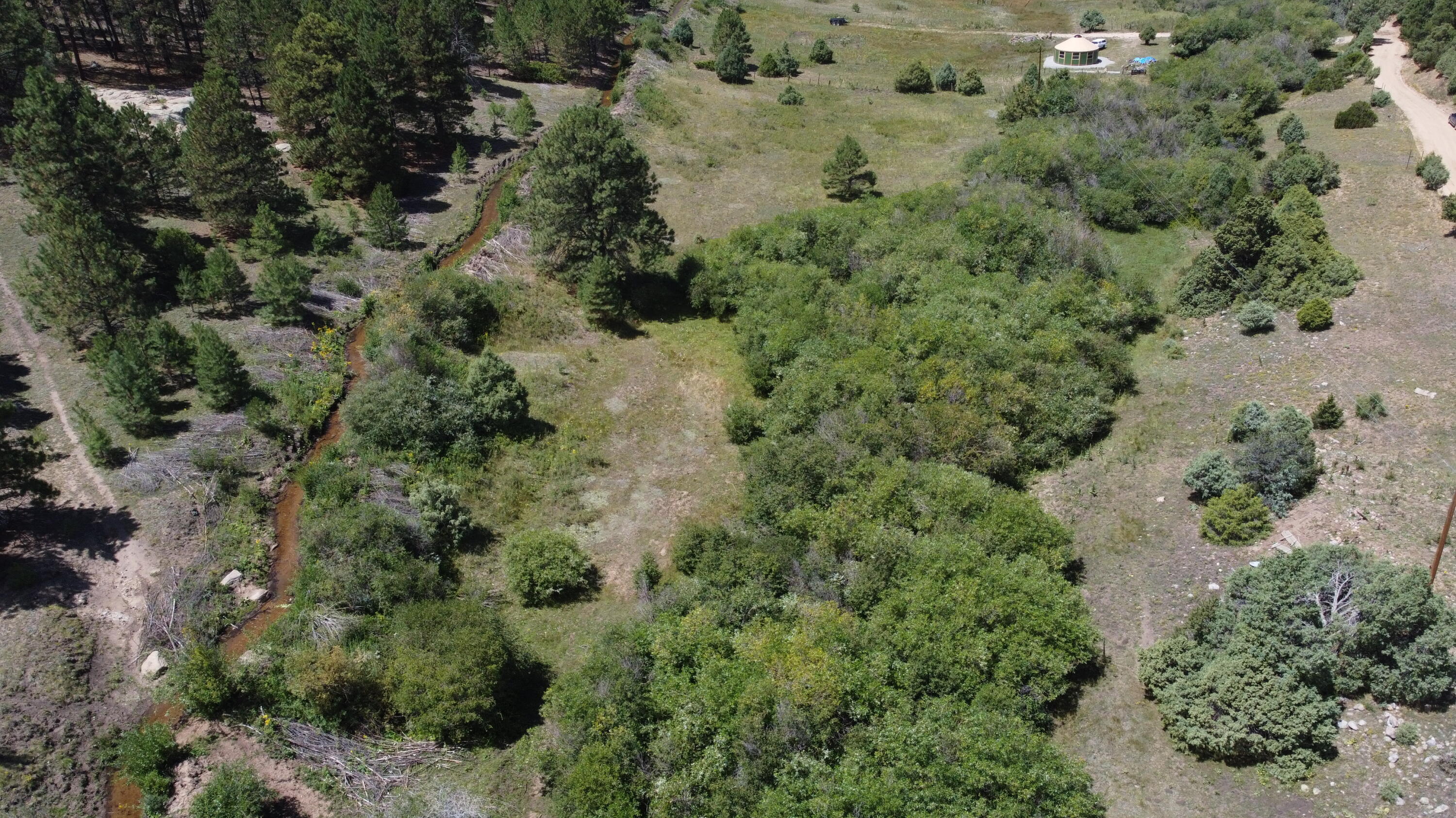 TRACT 2 Forest Rd. 639, Truchas, New Mexico image 12