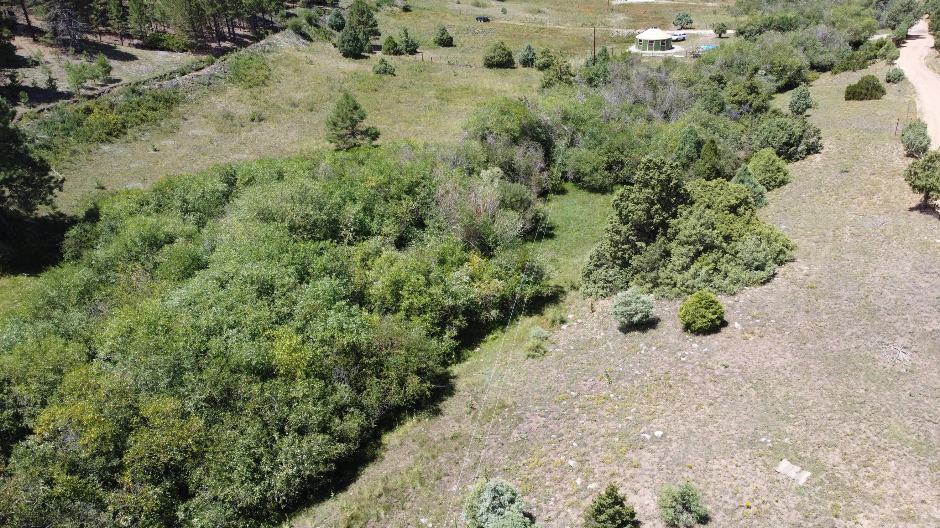 TRACT 2 Forest Rd. 639, Truchas, New Mexico image 9