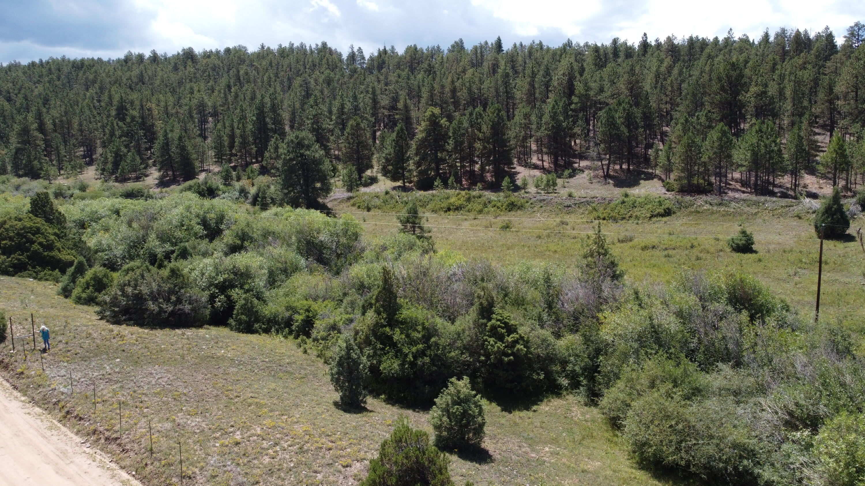 TRACT 2 Forest Rd. 639, Truchas, New Mexico image 5