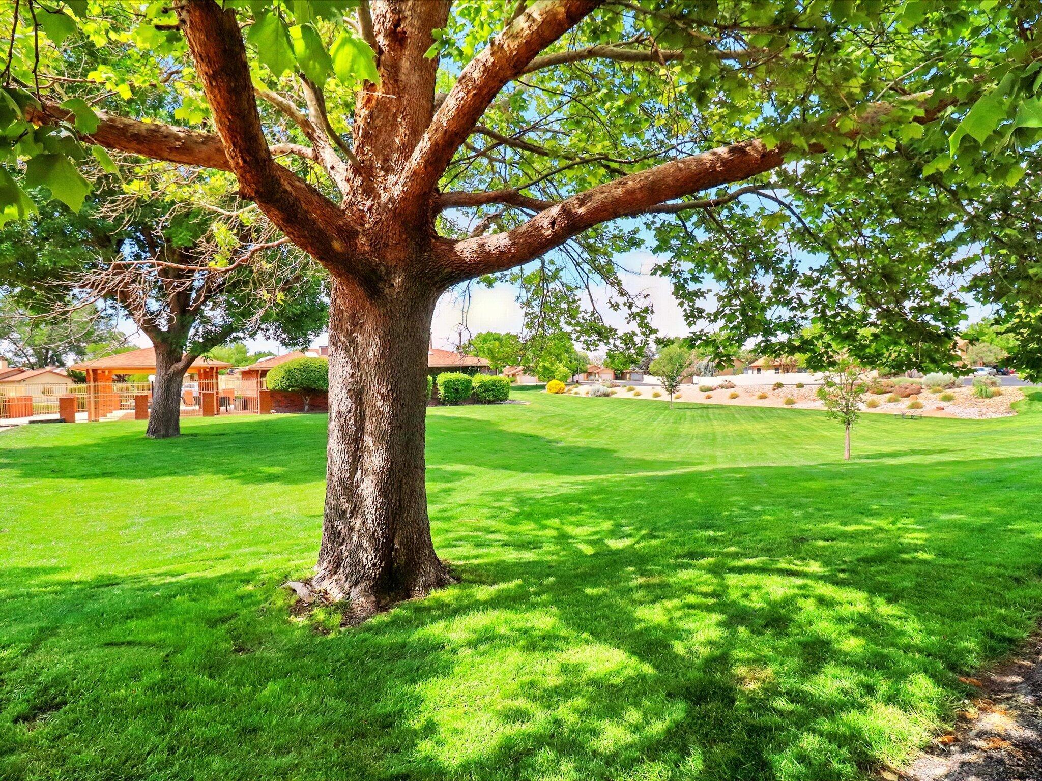10905 Lagrange Park Drive Dr, Albuquerque, New Mexico image 40