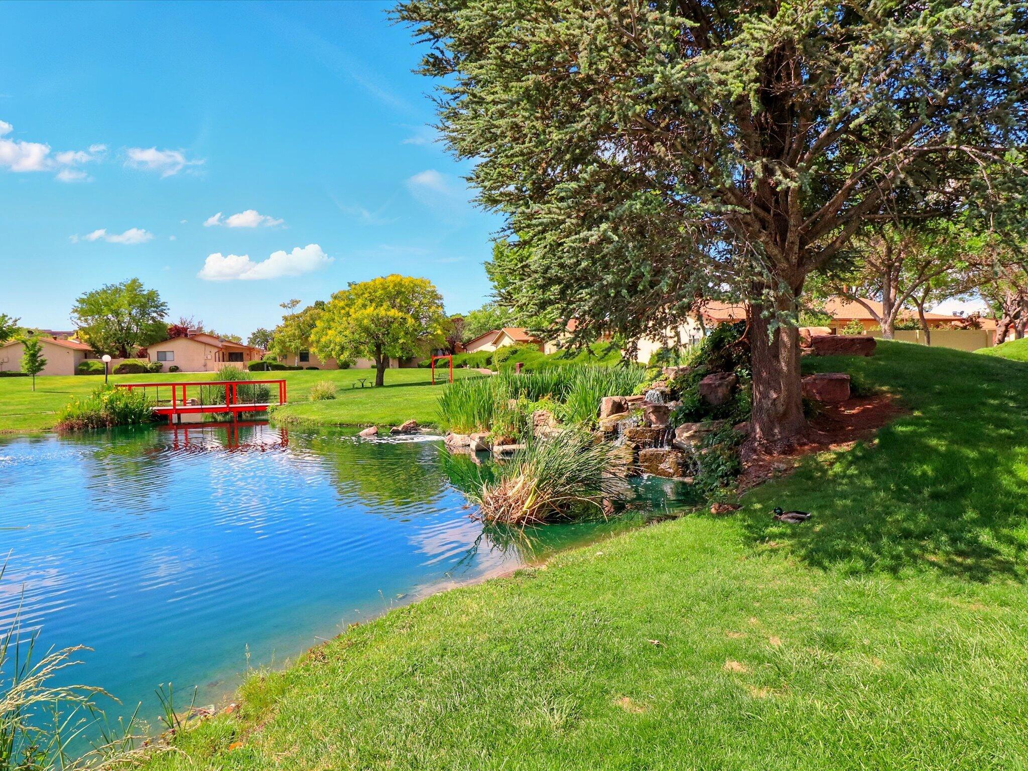 10905 Lagrange Park Drive Dr, Albuquerque, New Mexico image 45