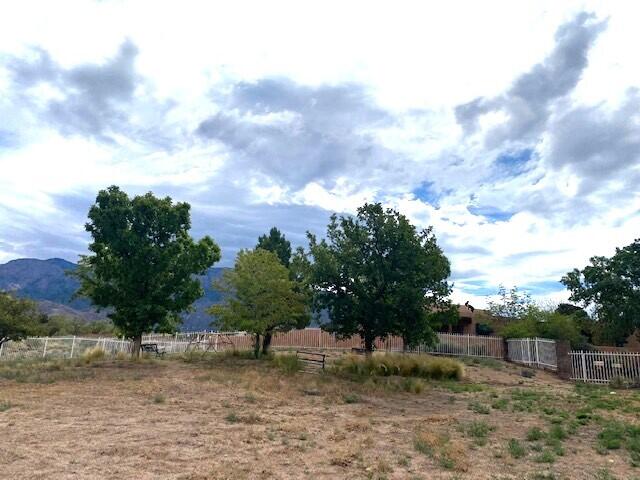 9277 Topanga Court, Albuquerque, New Mexico image 5