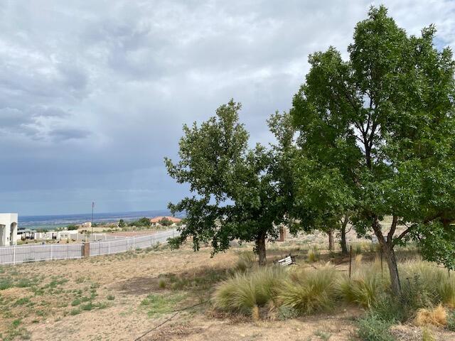 9277 Topanga Court, Albuquerque, New Mexico image 6