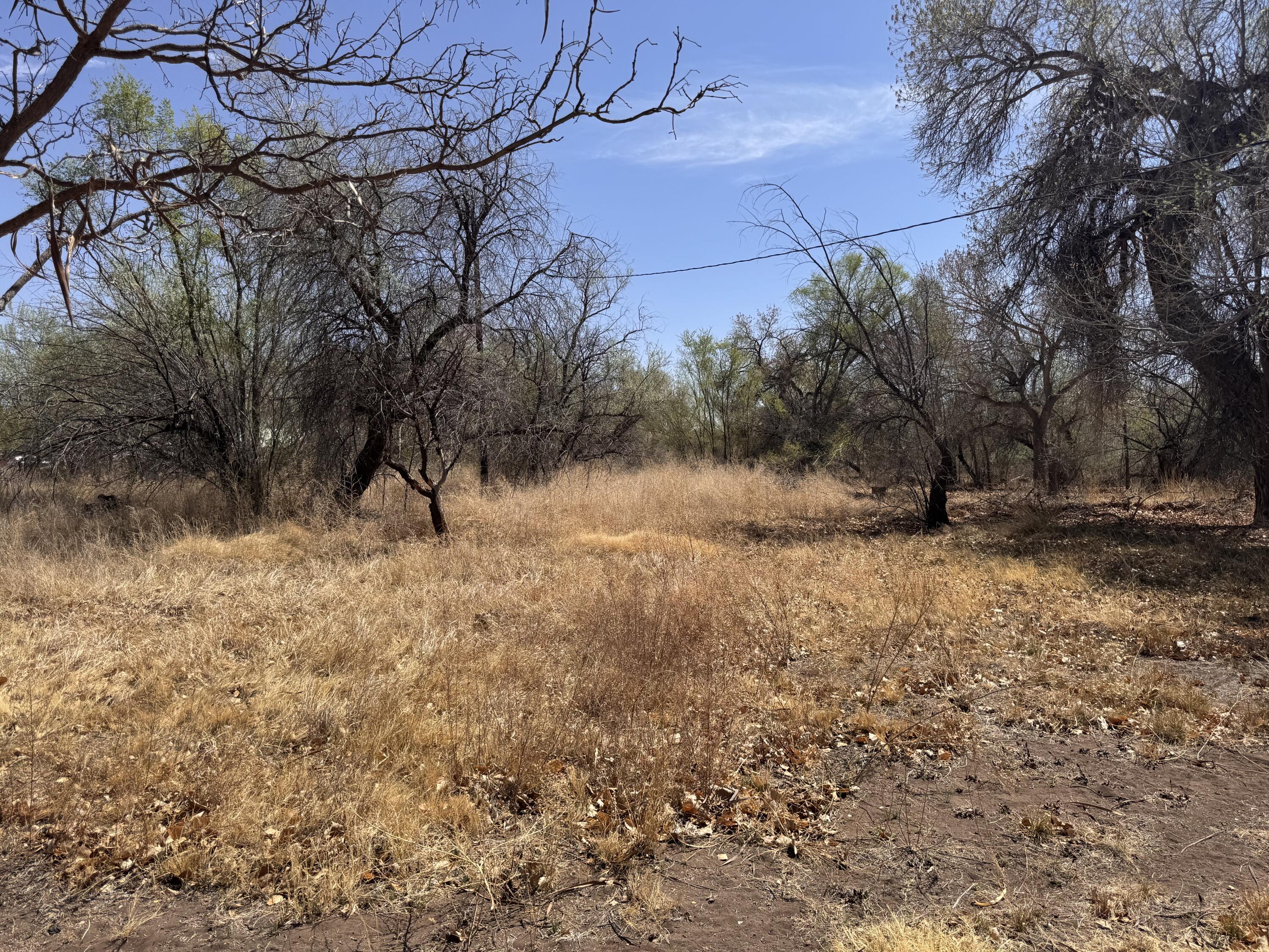 19 Wildwood Lane, Peralta, New Mexico image 5