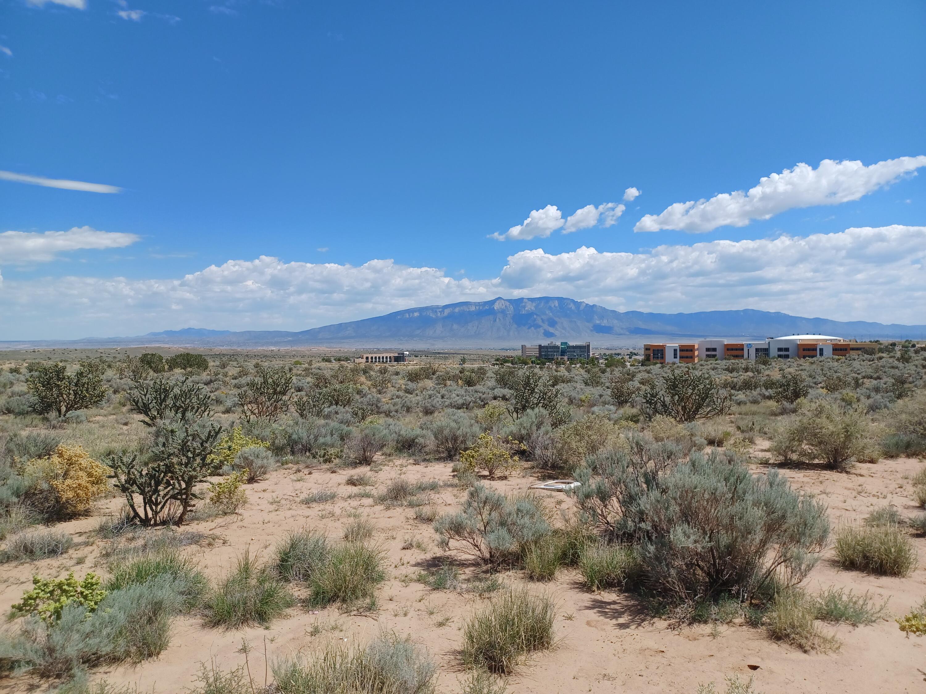 Metro (u21b15l16) Avenue, Rio Rancho, New Mexico image 3