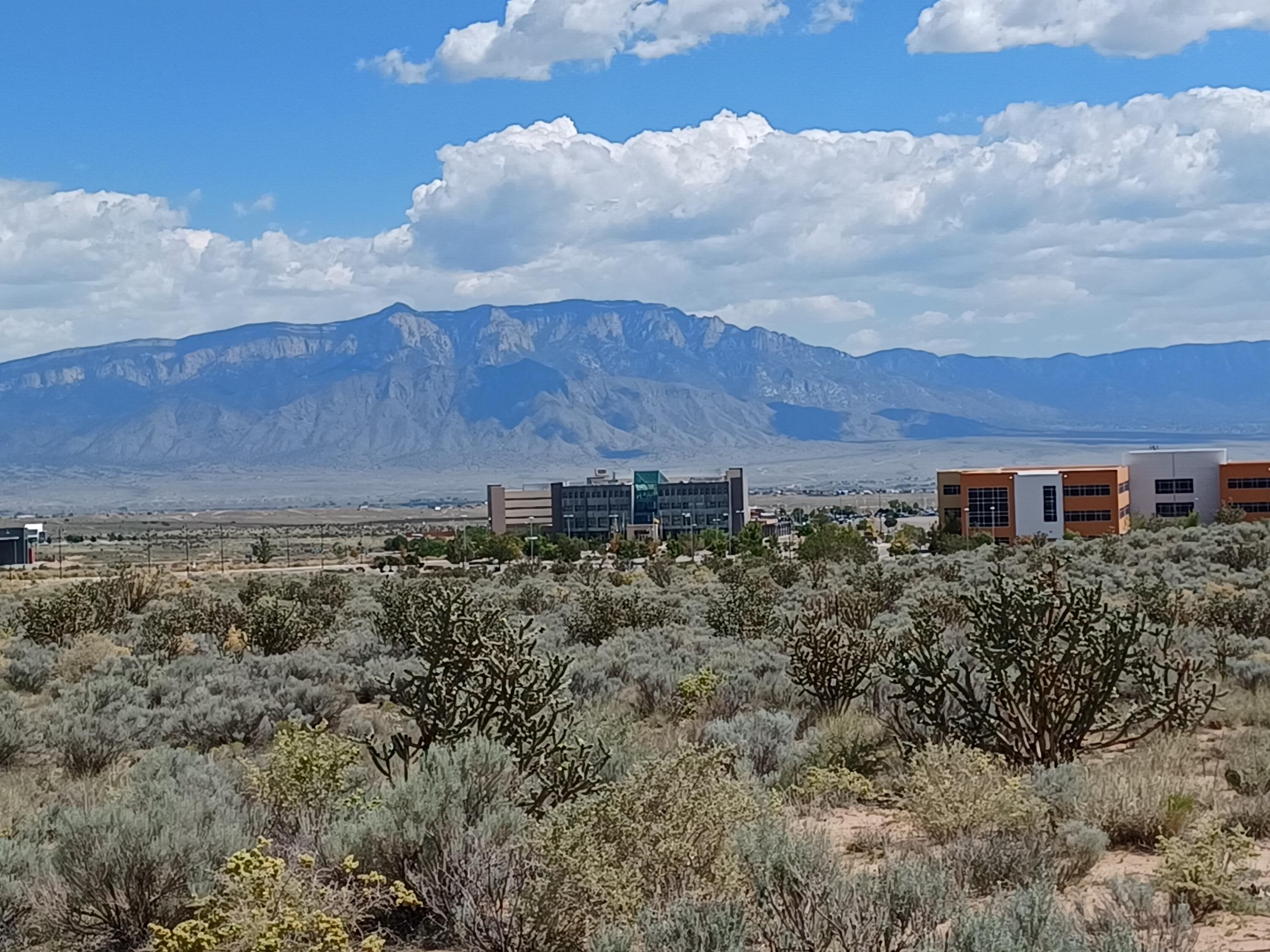 Metro (u21b15l16) Avenue, Rio Rancho, New Mexico image 5