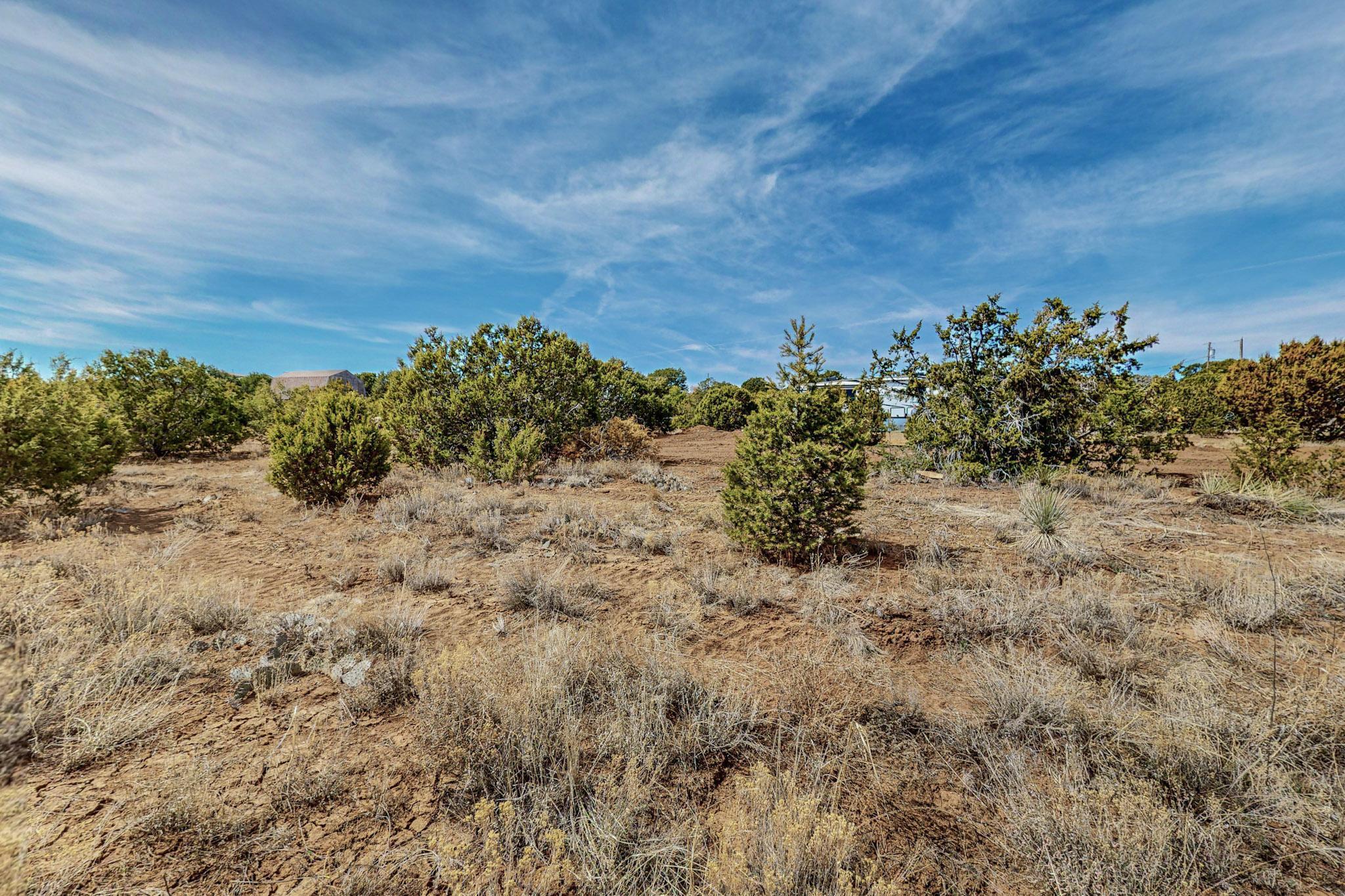 19 Edge Of Wood Rd Road, Tijeras, New Mexico image 50