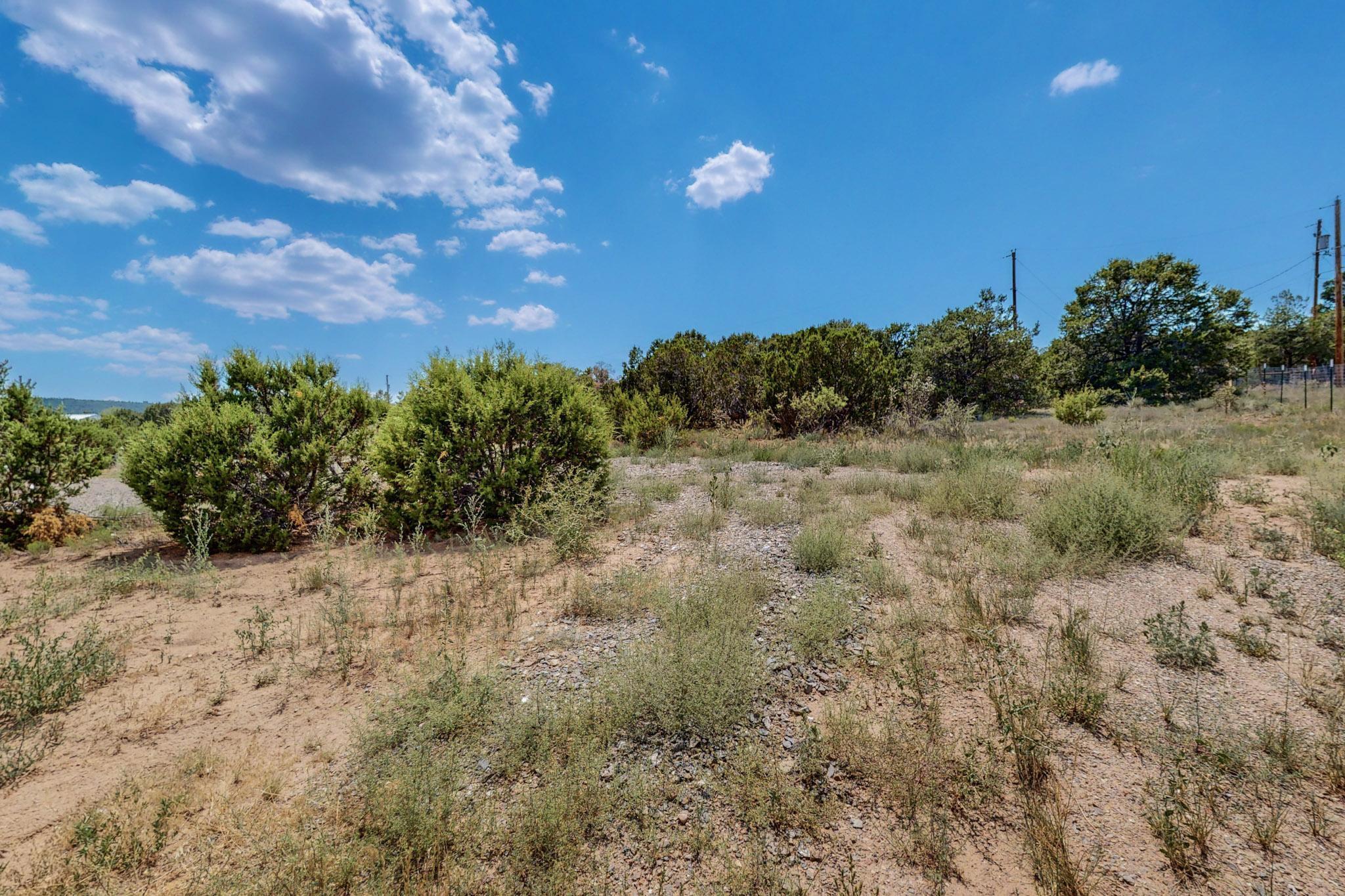 19 Edge Of Wood Rd Road, Tijeras, New Mexico image 23