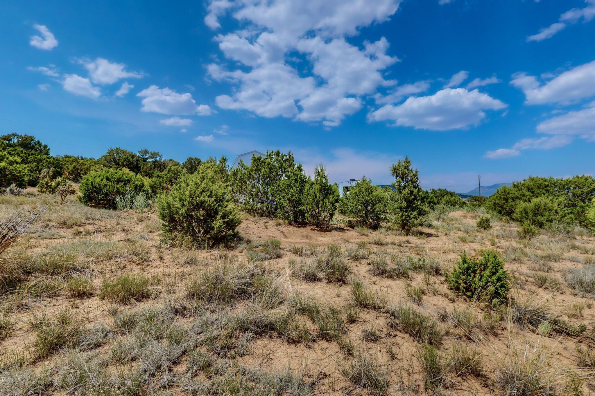 19 Edge Of Wood Rd Road, Tijeras, New Mexico image 17