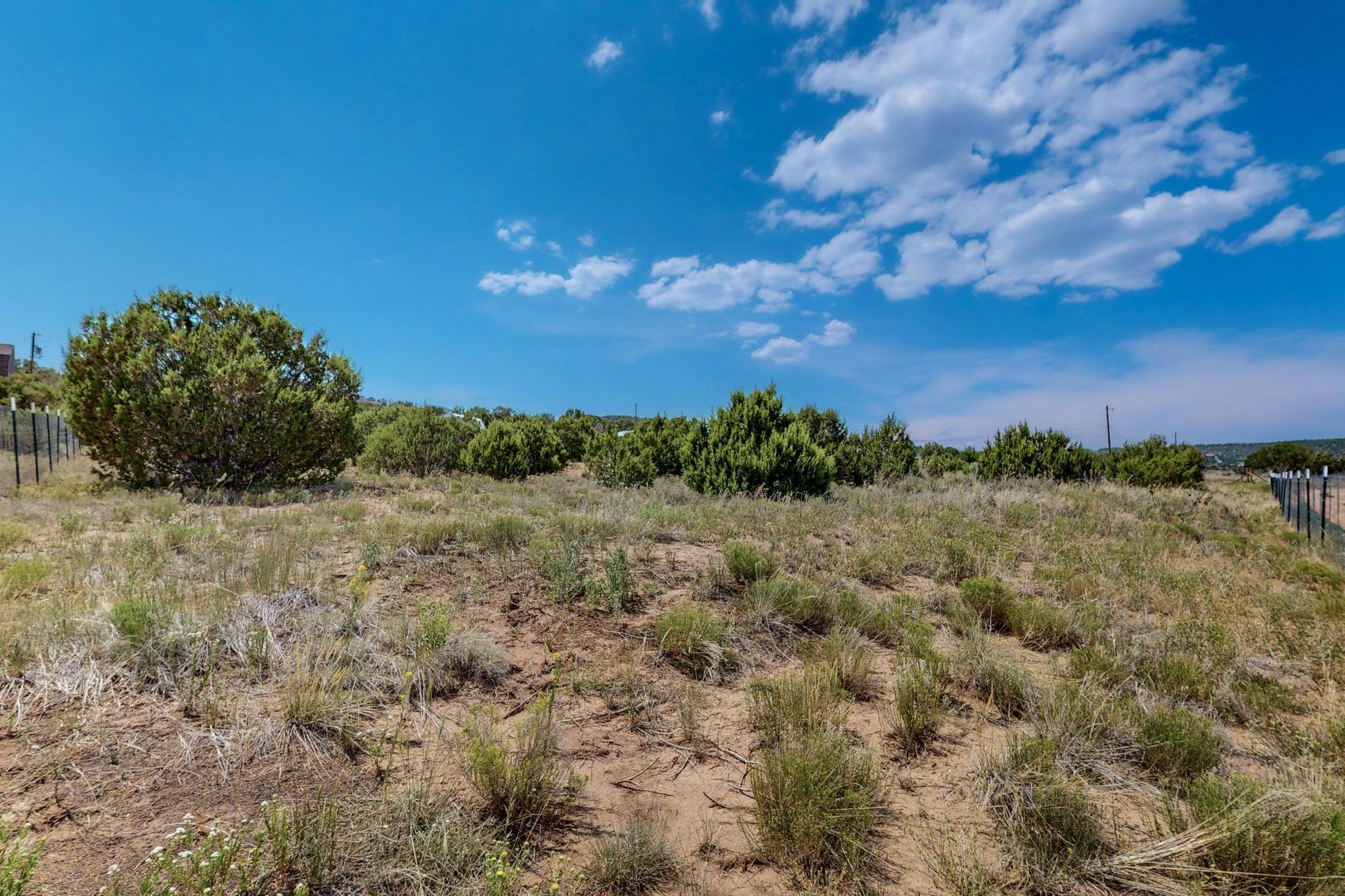 19 Edge Of Wood Rd Road, Tijeras, New Mexico image 16