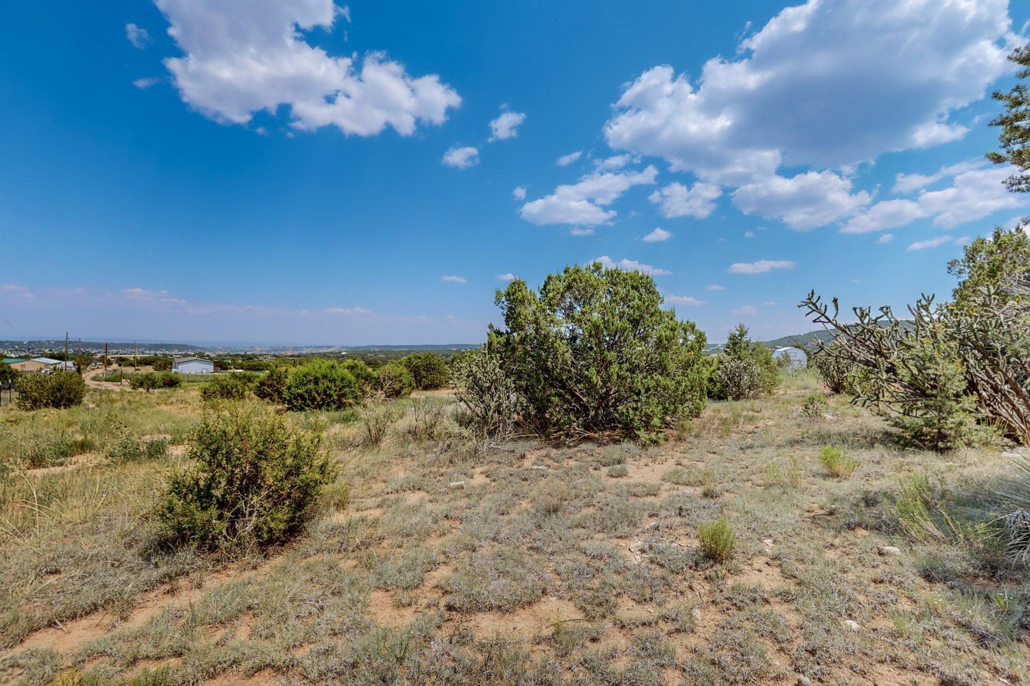 19 Edge Of Wood Rd Road, Tijeras, New Mexico image 21