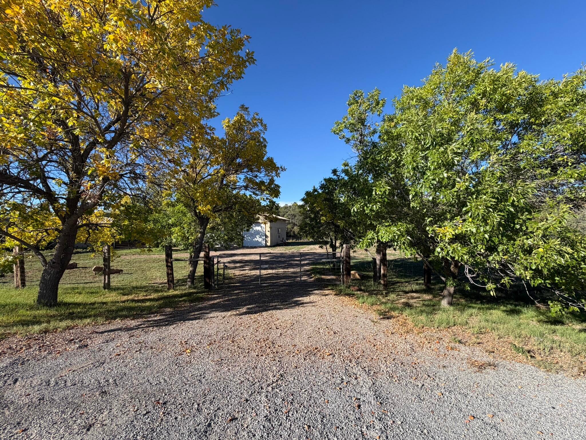 3 Brent Lane