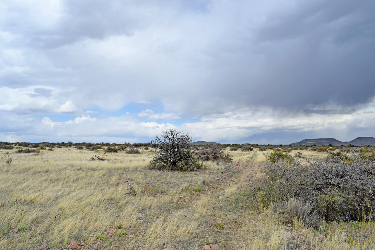 Lot 39 Sunset Vista Road, San Antonio, New Mexico image 7