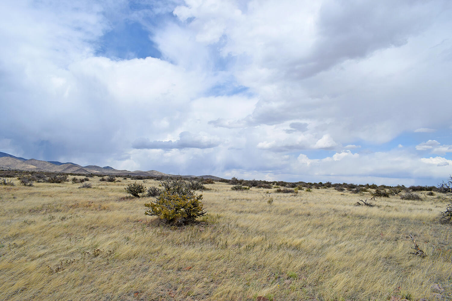 Lot 39 Sunset Vista Road, San Antonio, New Mexico image 8