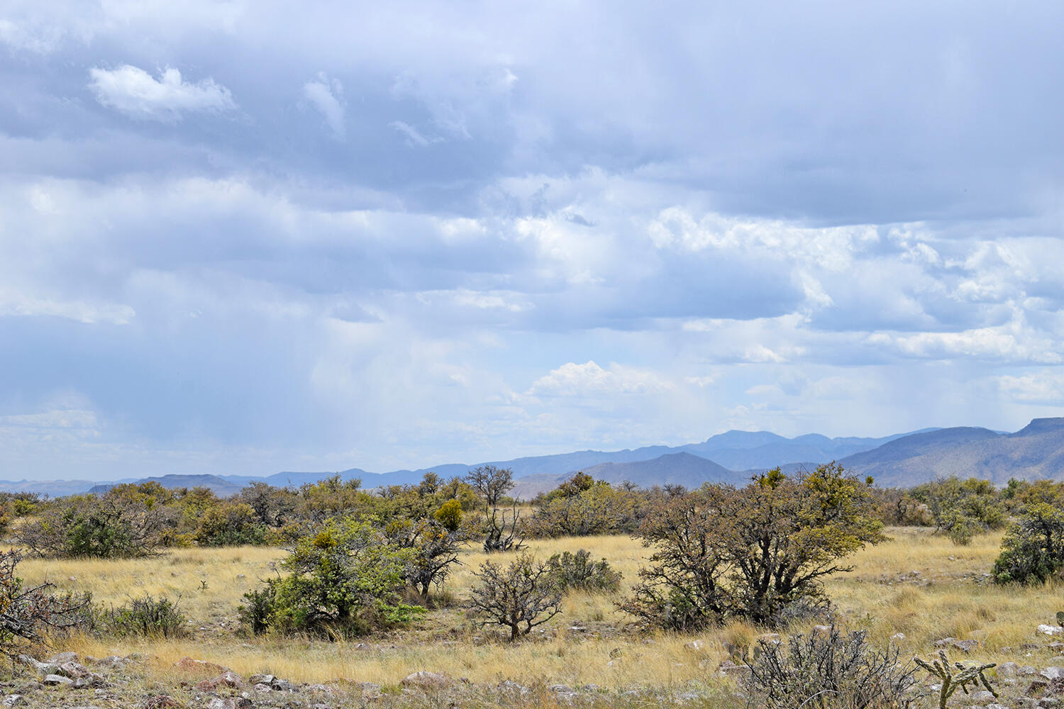 Lot 39 Sunset Vista Road, San Antonio, New Mexico image 22