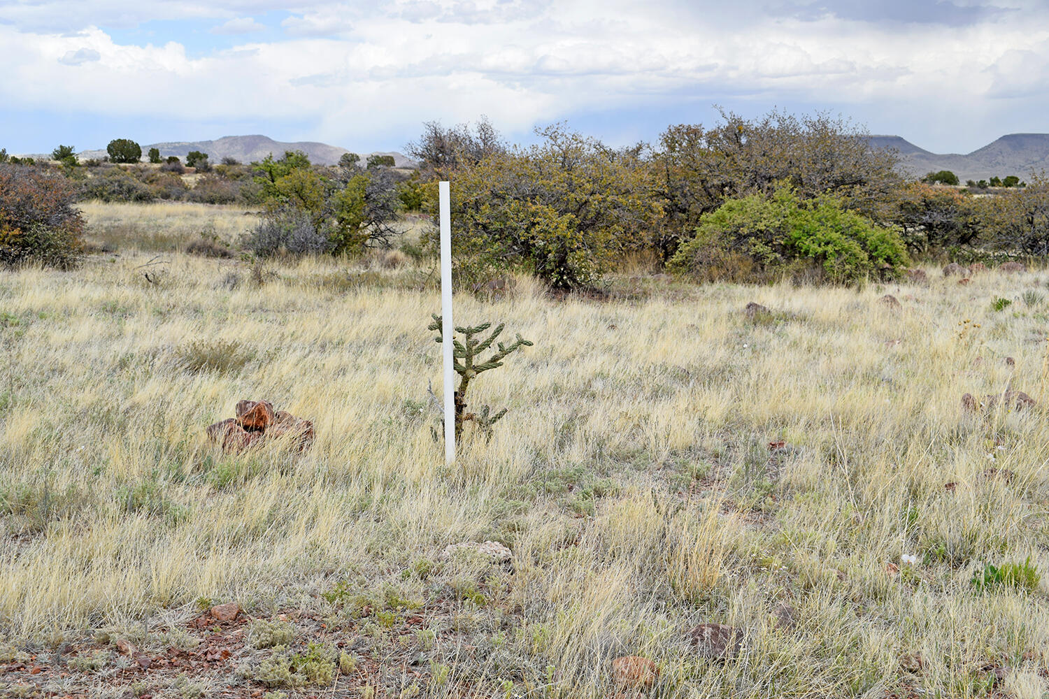 Lot 39 Sunset Vista Road, San Antonio, New Mexico image 13