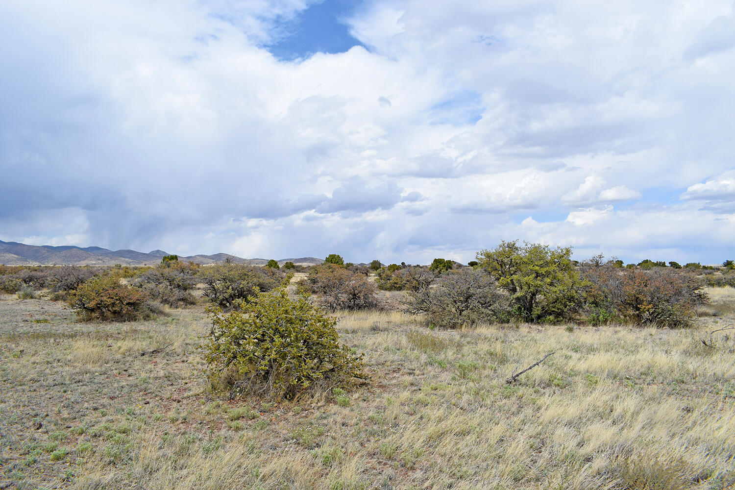 Lot 39 Sunset Vista Road, San Antonio, New Mexico image 17