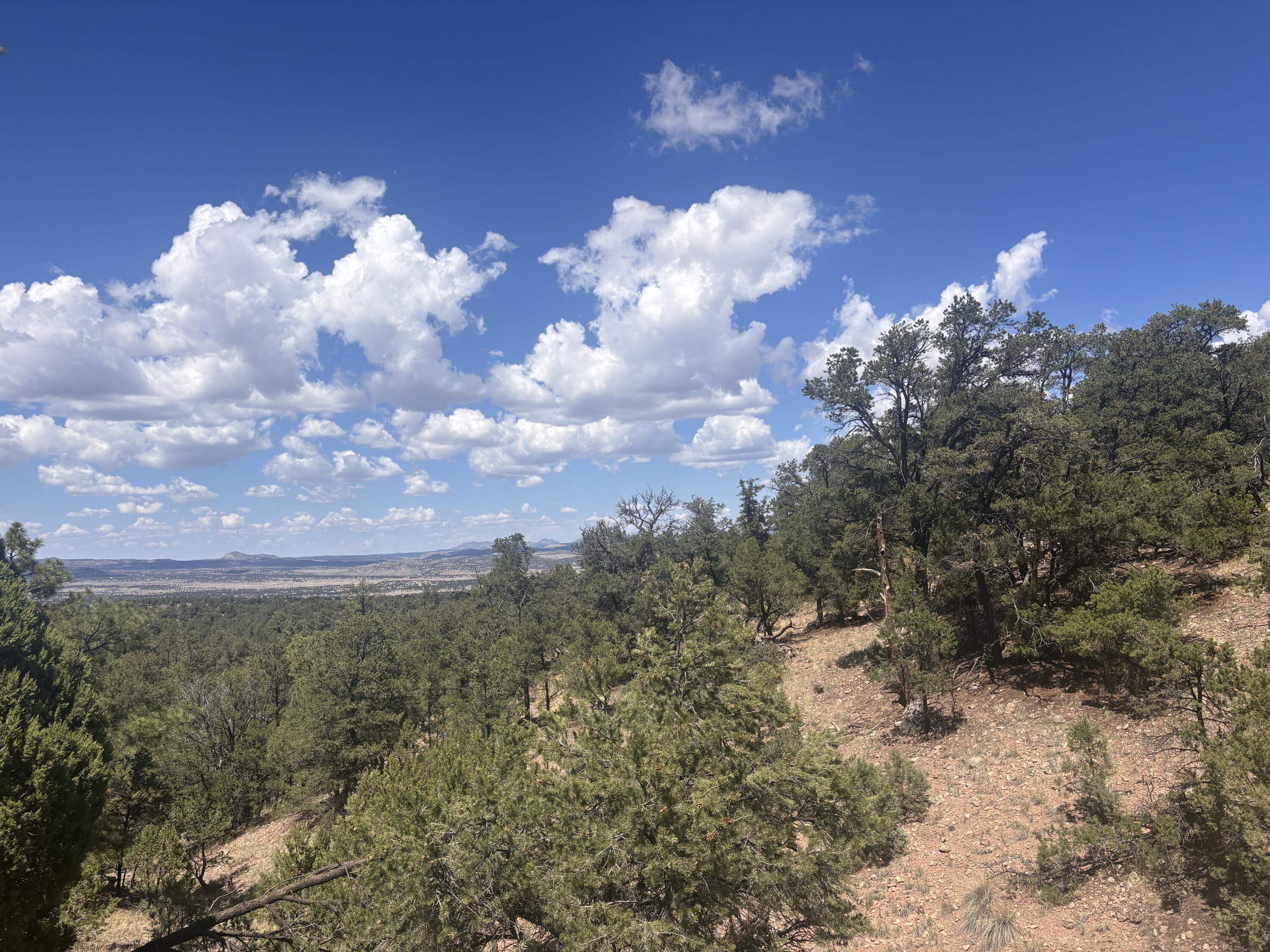 Lot 23 Tee Pee Ranch