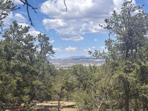 Vacant Land For Sale - Lot 23 Tee Pee Ranch<br/> Catron County, Datil, NM 87821