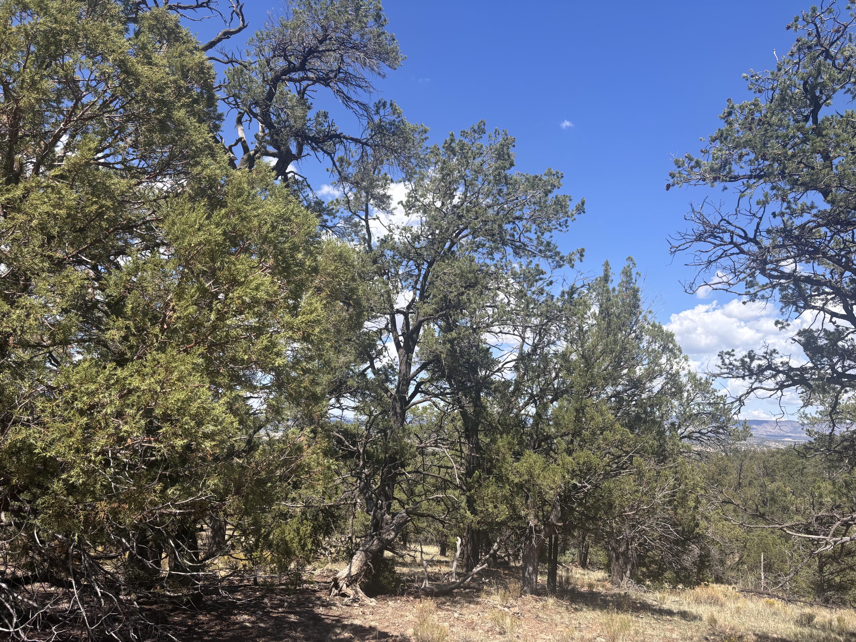 Lot 23 Tee Pee Ranch