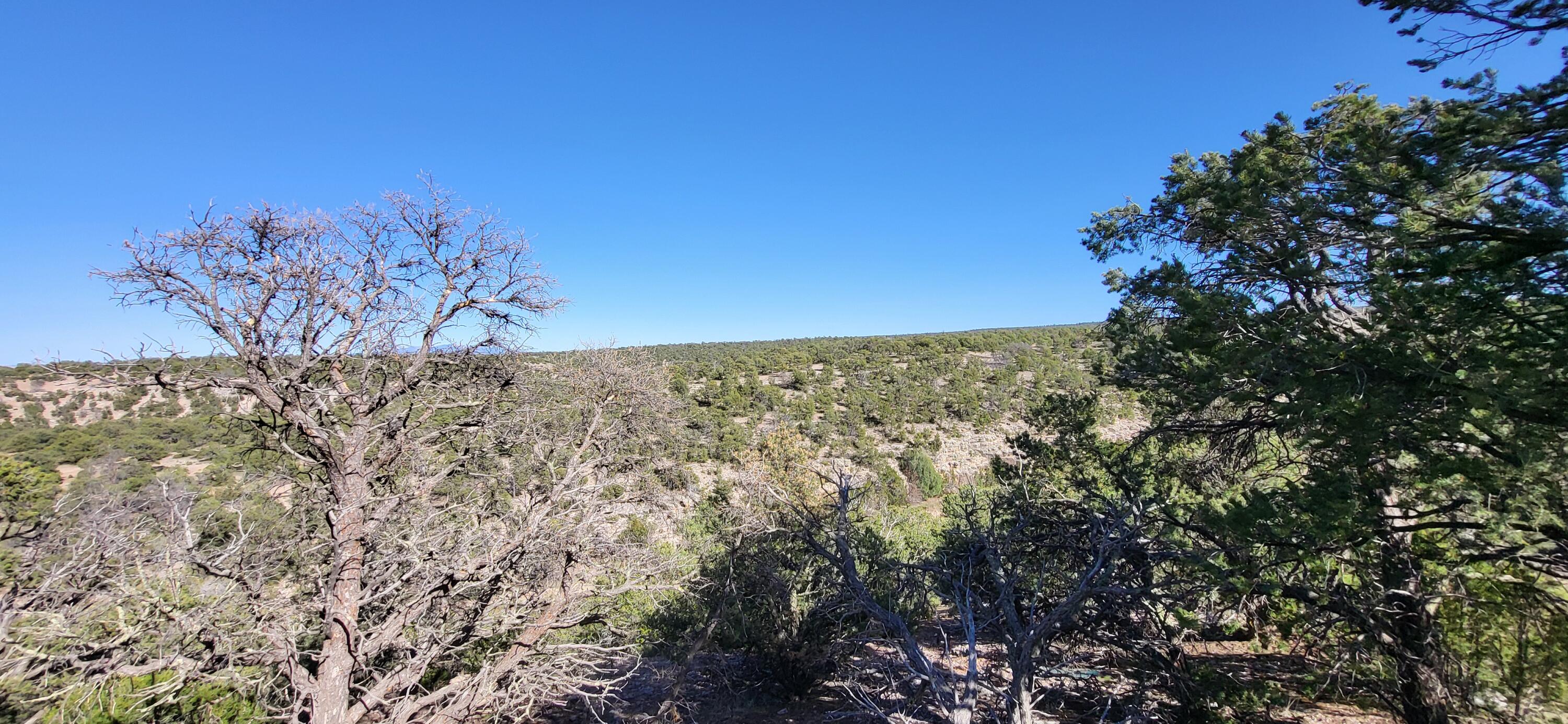 11 Wyla Drive, Prewitt, New Mexico image 6