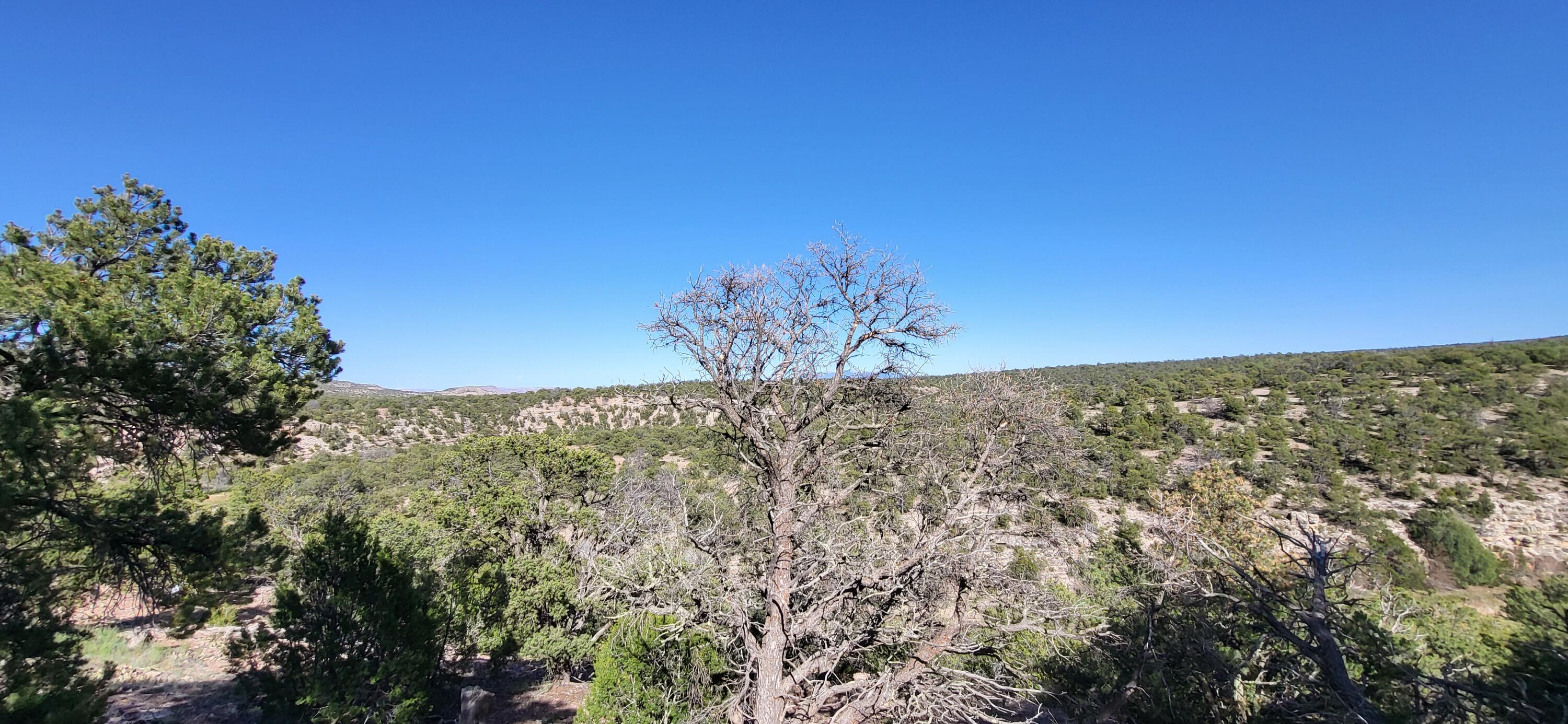 11 Wyla Drive, Prewitt, New Mexico image 7