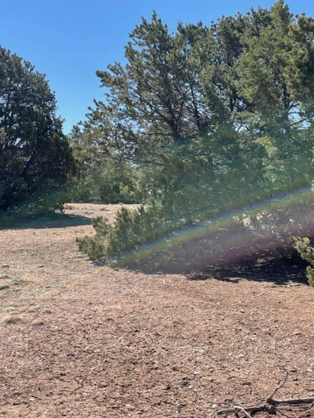 6 Falcon Court, Tijeras, New Mexico image 5