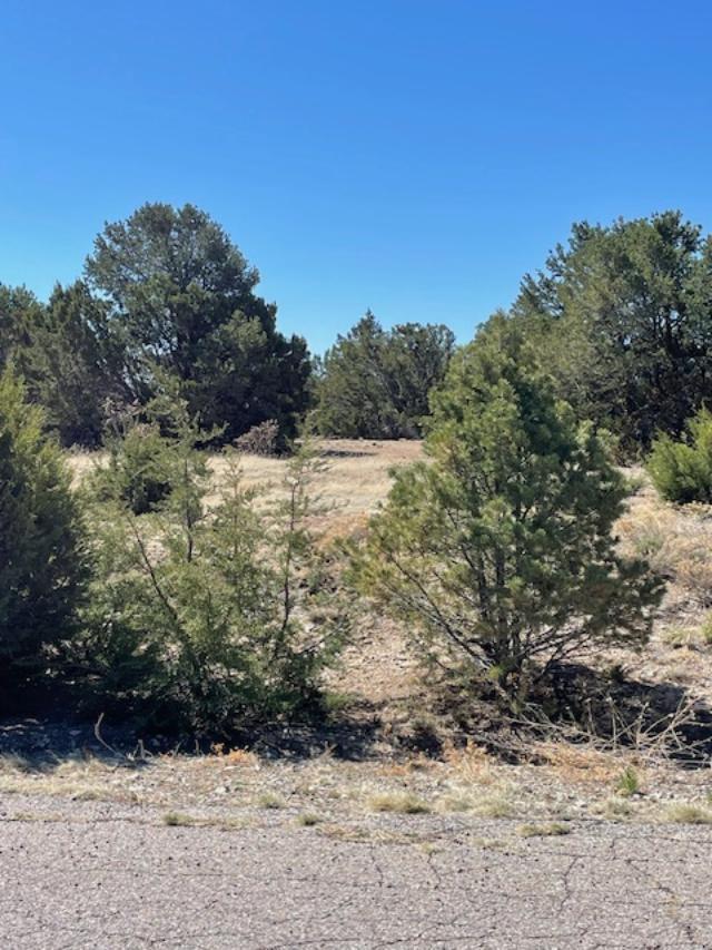 6 Falcon Court, Tijeras, New Mexico image 3
