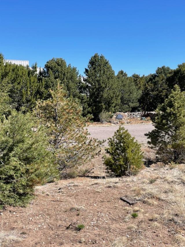 6 Falcon Court, Tijeras, New Mexico image 6