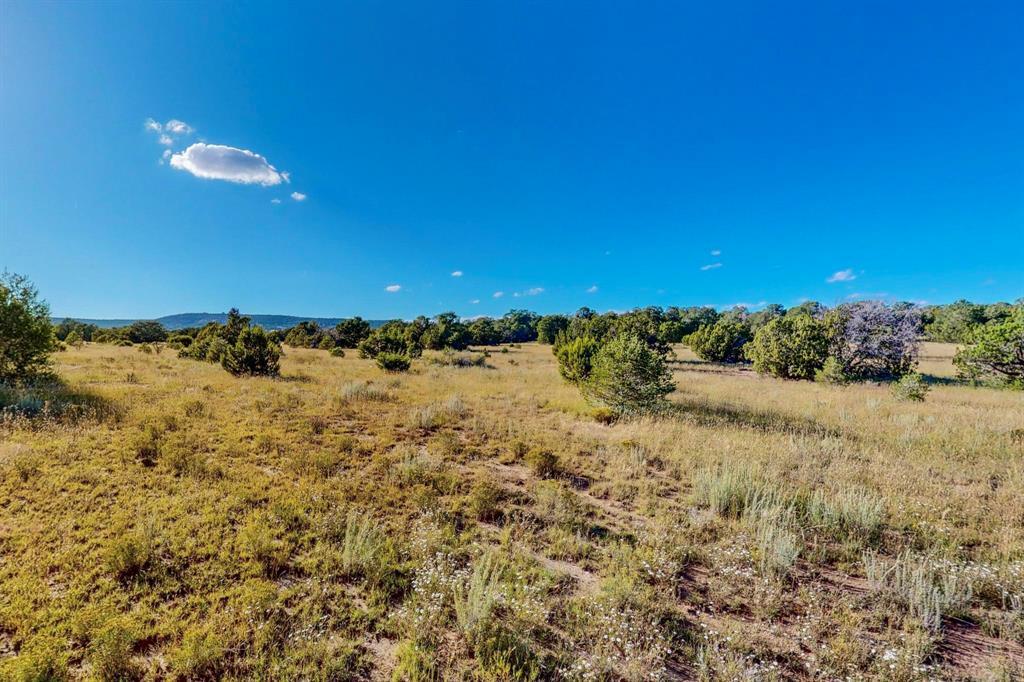 64 Saddle Spur Trail Trail, Edgewood, New Mexico image 15