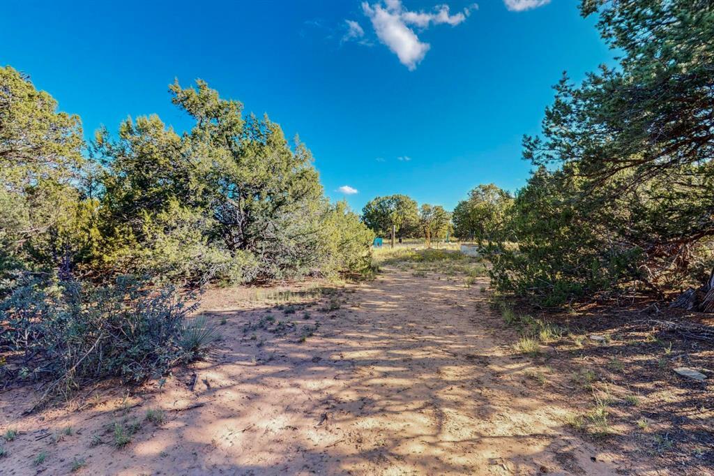 64 Saddle Spur Trail Trail, Edgewood, New Mexico image 11