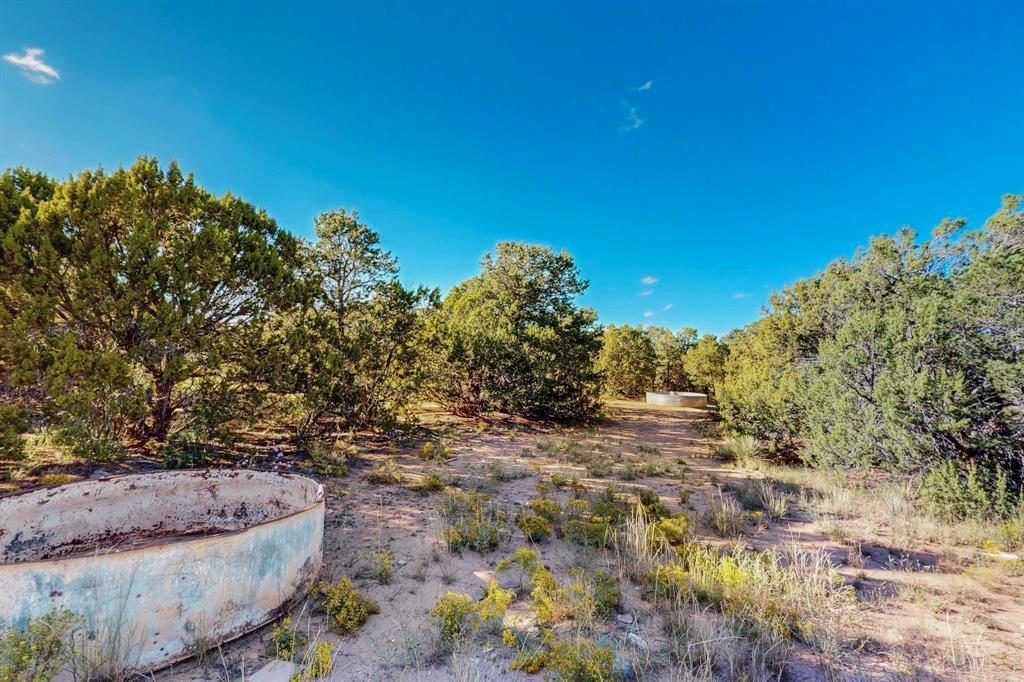 64 Saddle Spur Trail Trail, Edgewood, New Mexico image 10