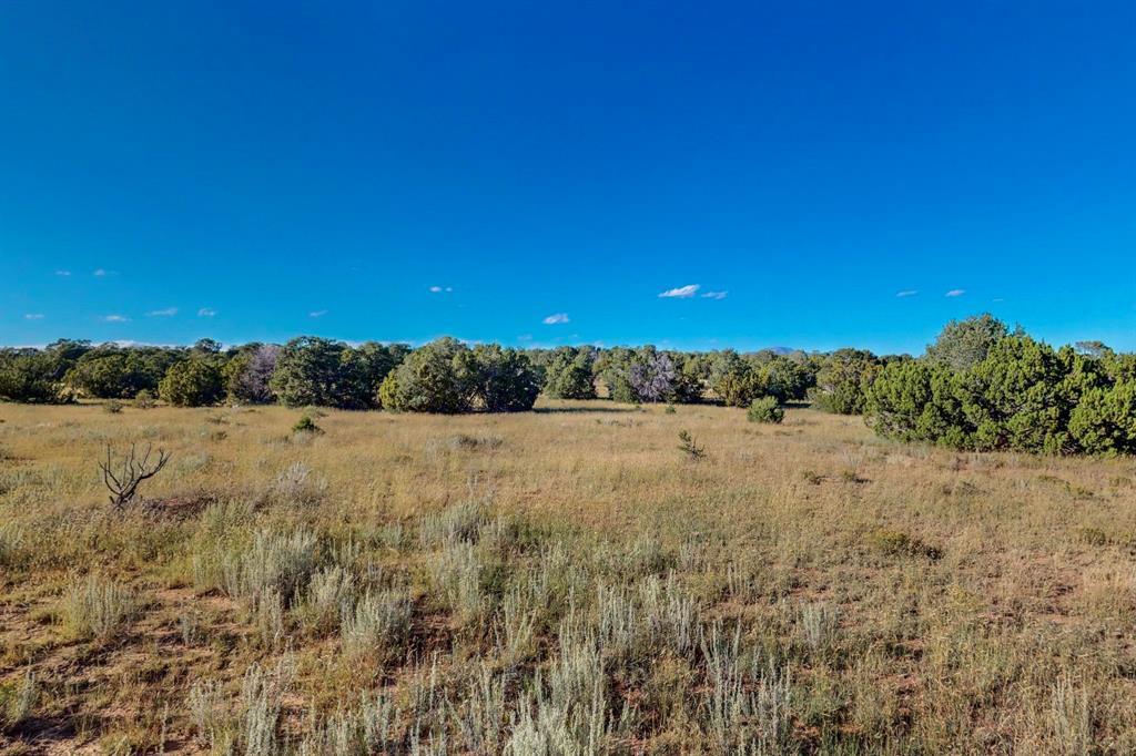 64 Saddle Spur Trail Trail, Edgewood, New Mexico image 17